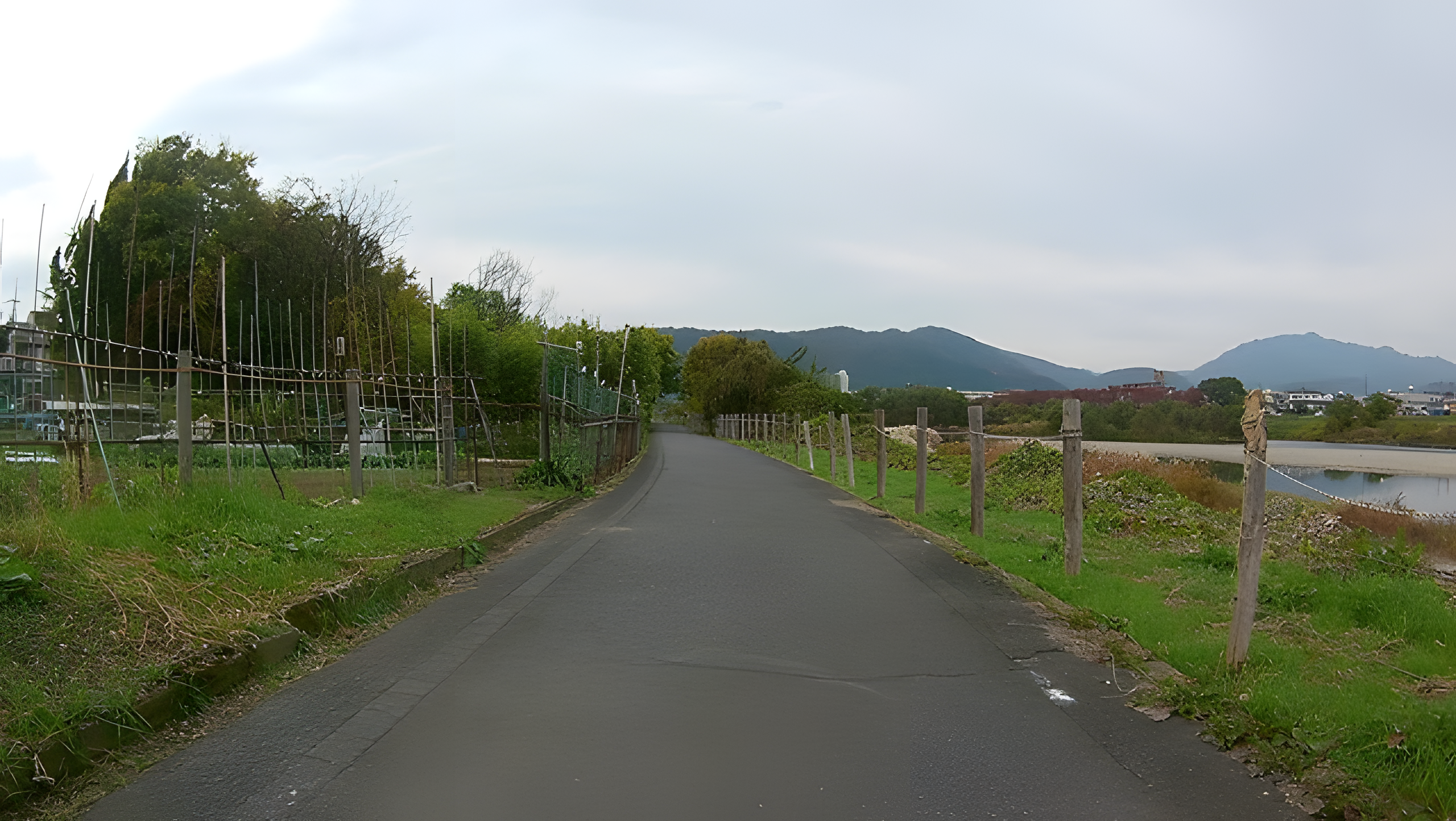 畑の中を進む