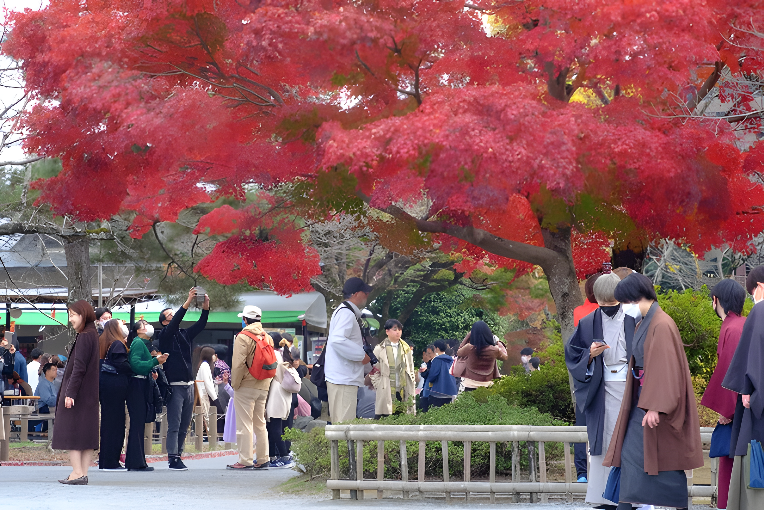 渡月橋付近の紅葉