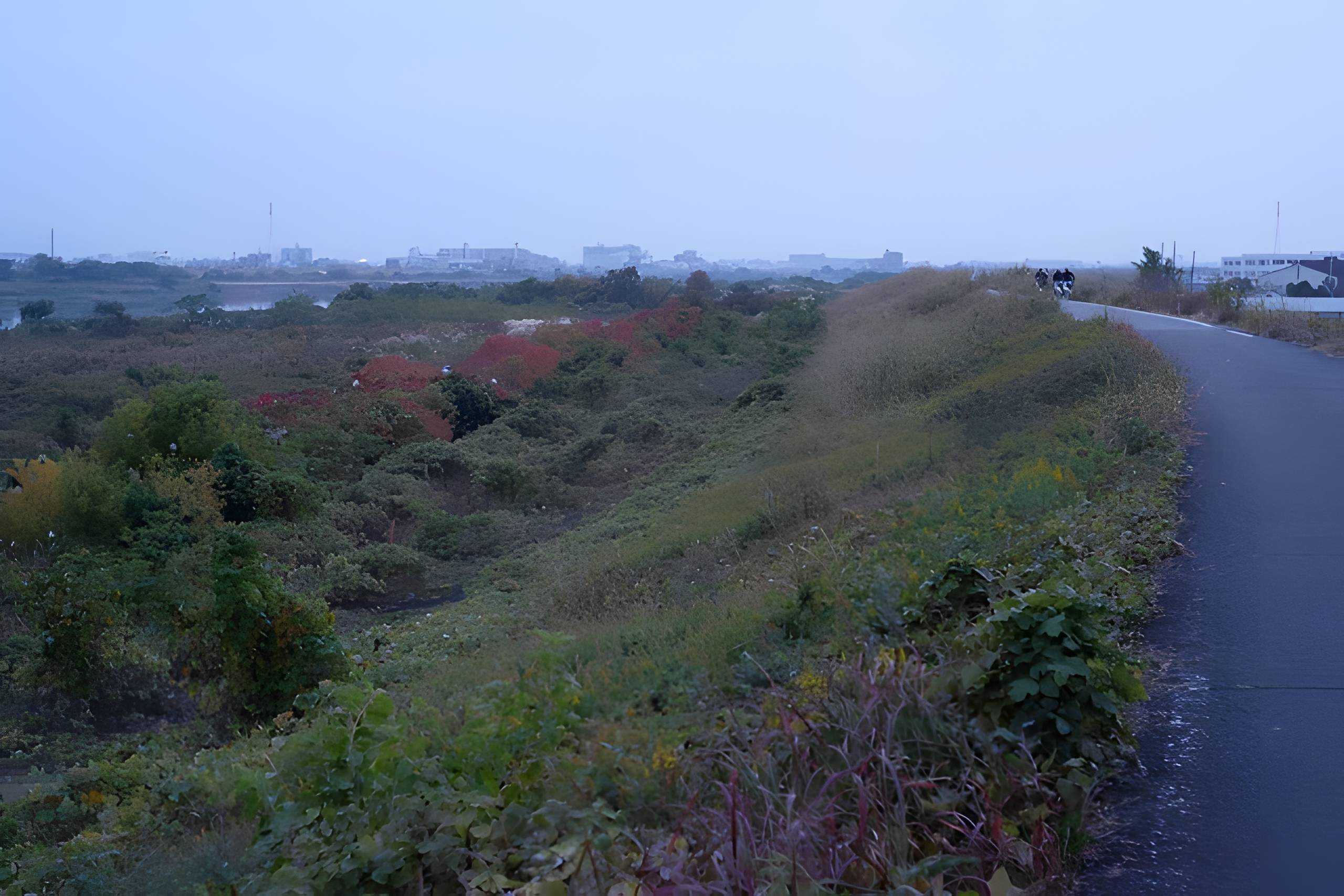 日没の淀川右岸