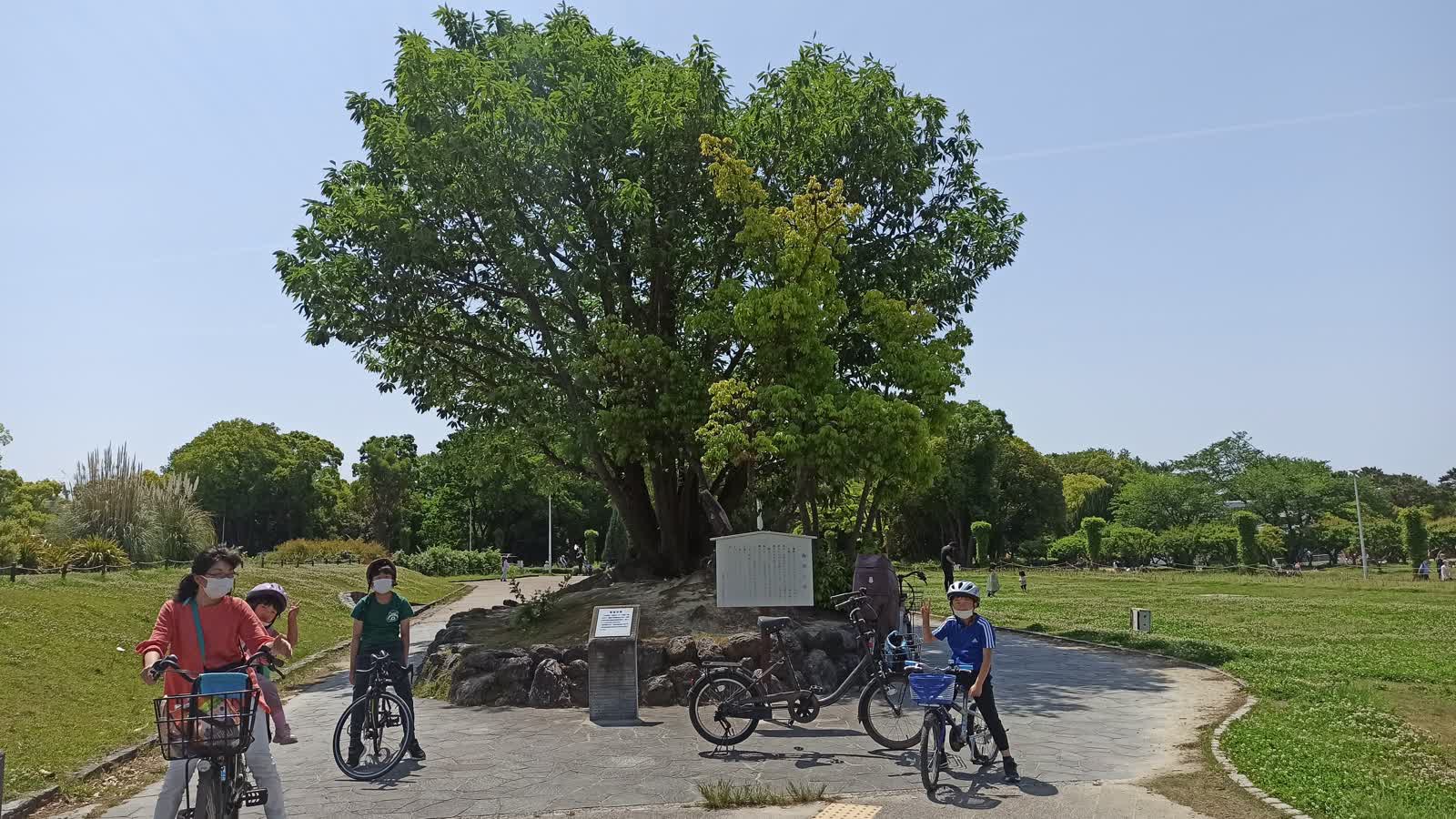 大阪北摂の古墳めぐりサイクリング featured image