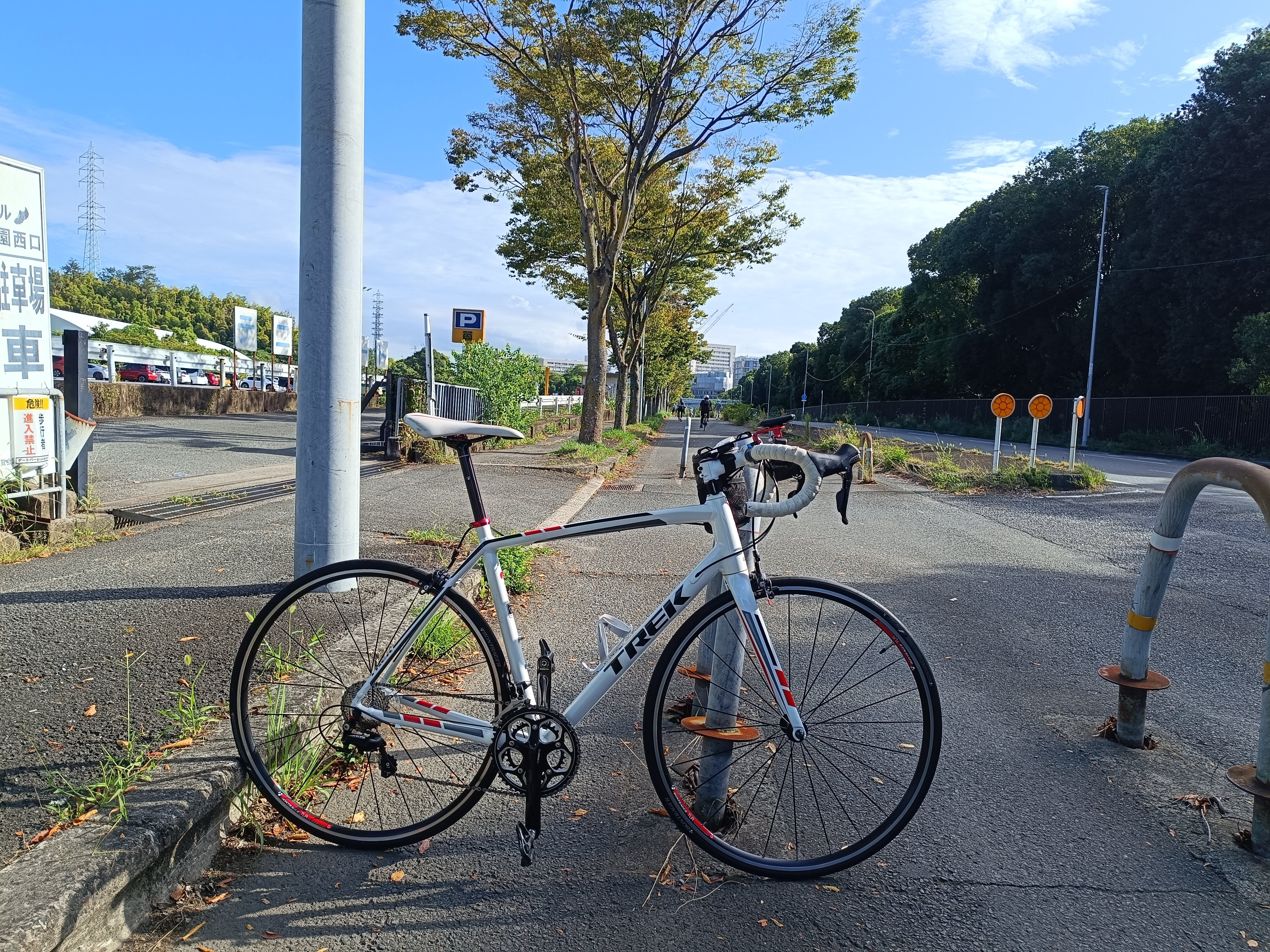 万博記念公園周遊道路