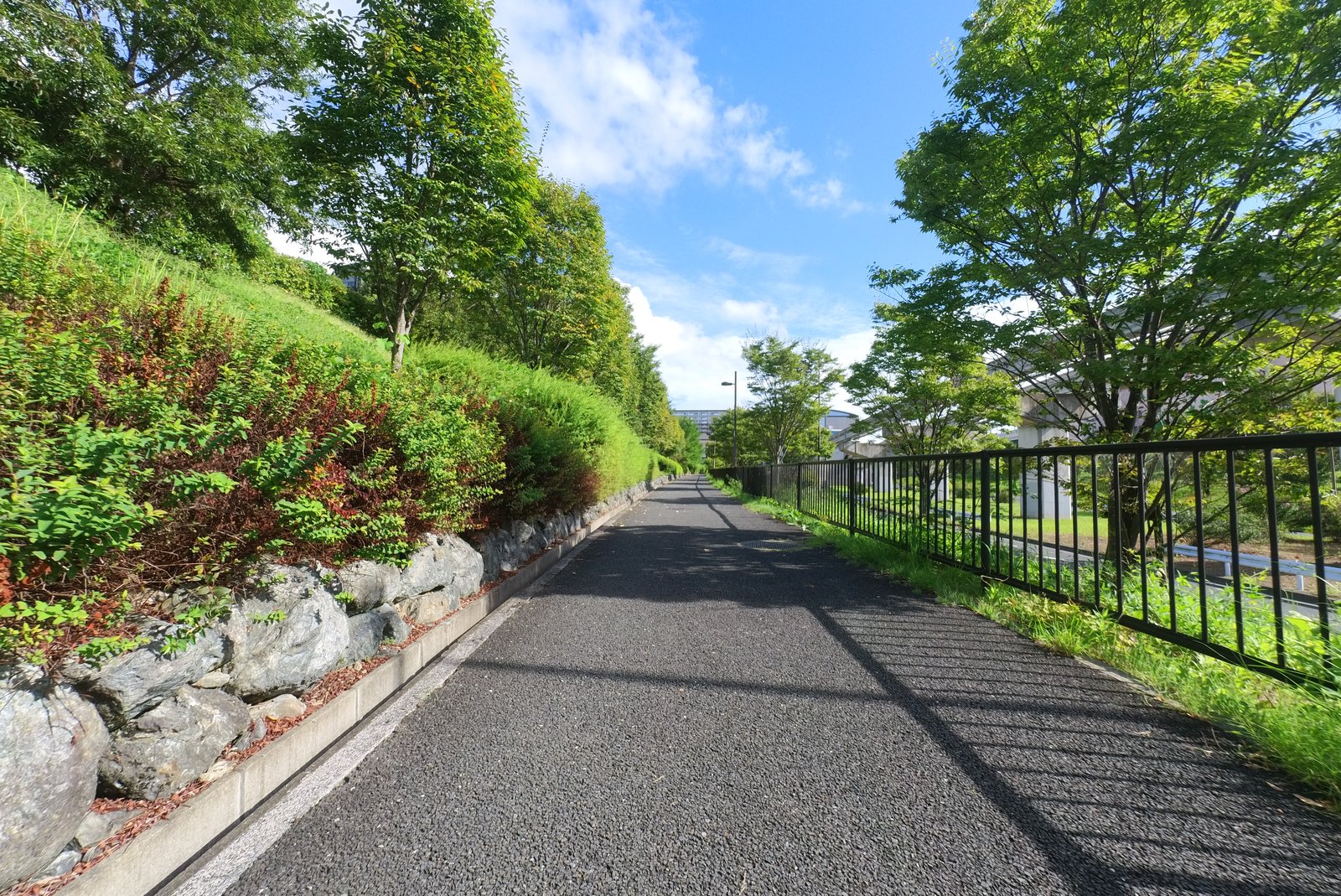 彩都への坂道