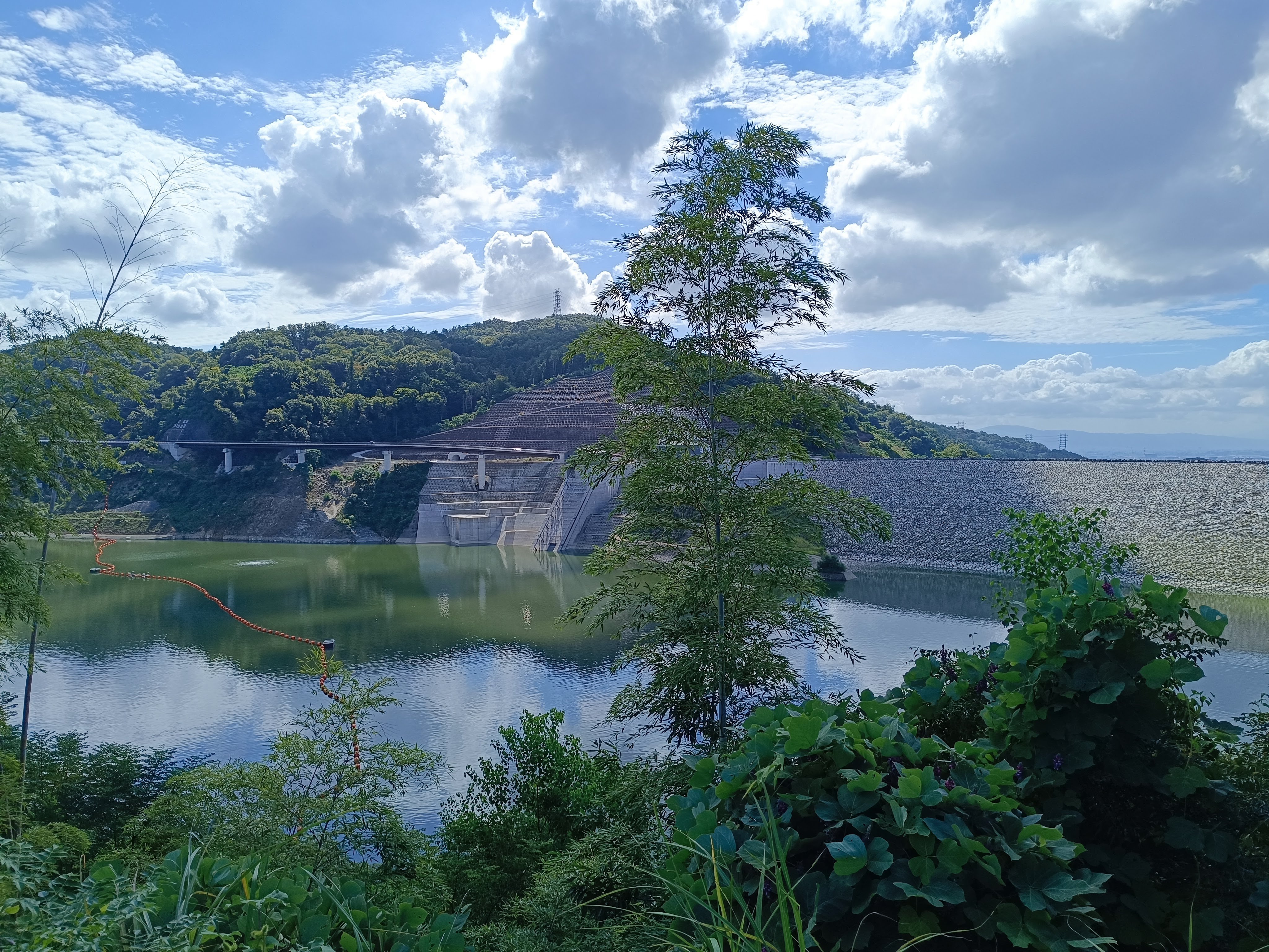 行き止まりの道からダム湖がよく見えた