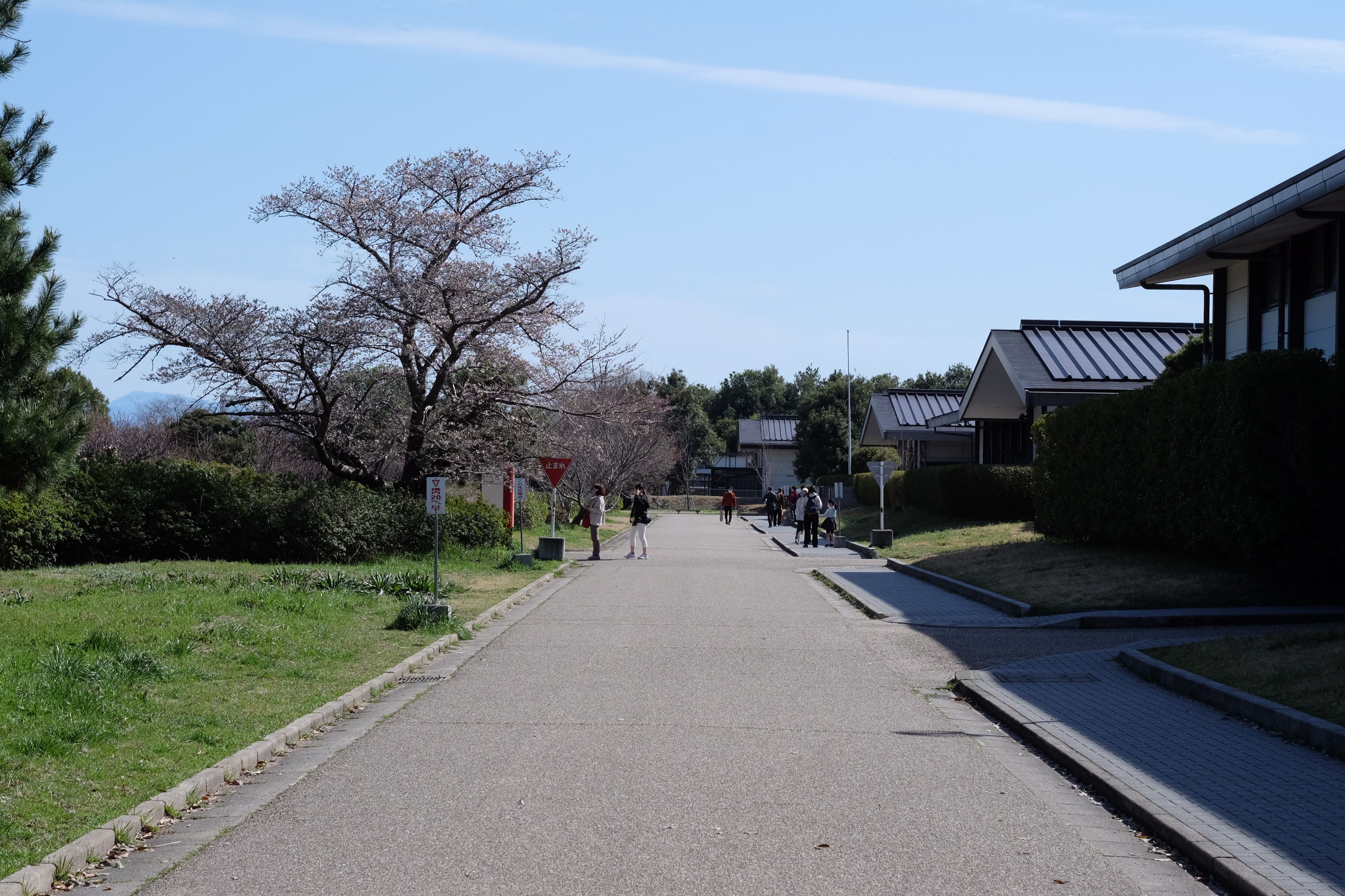 平城宮跡