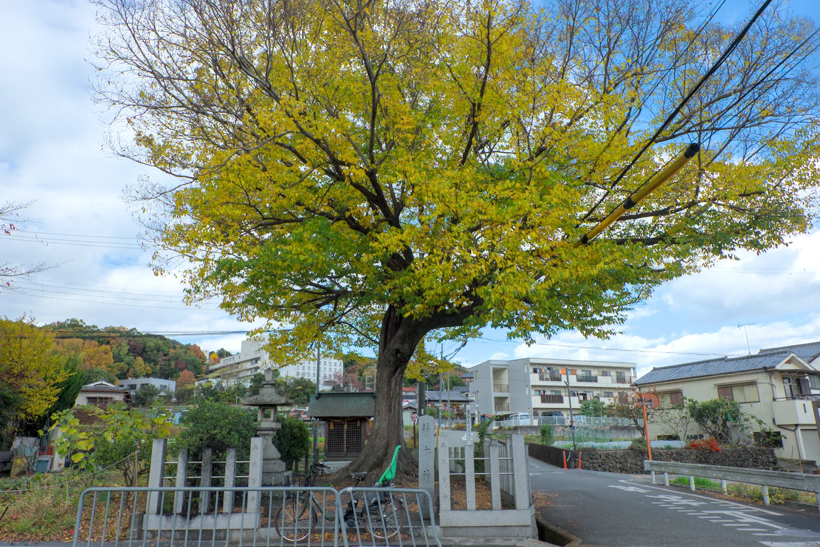 楠木神社