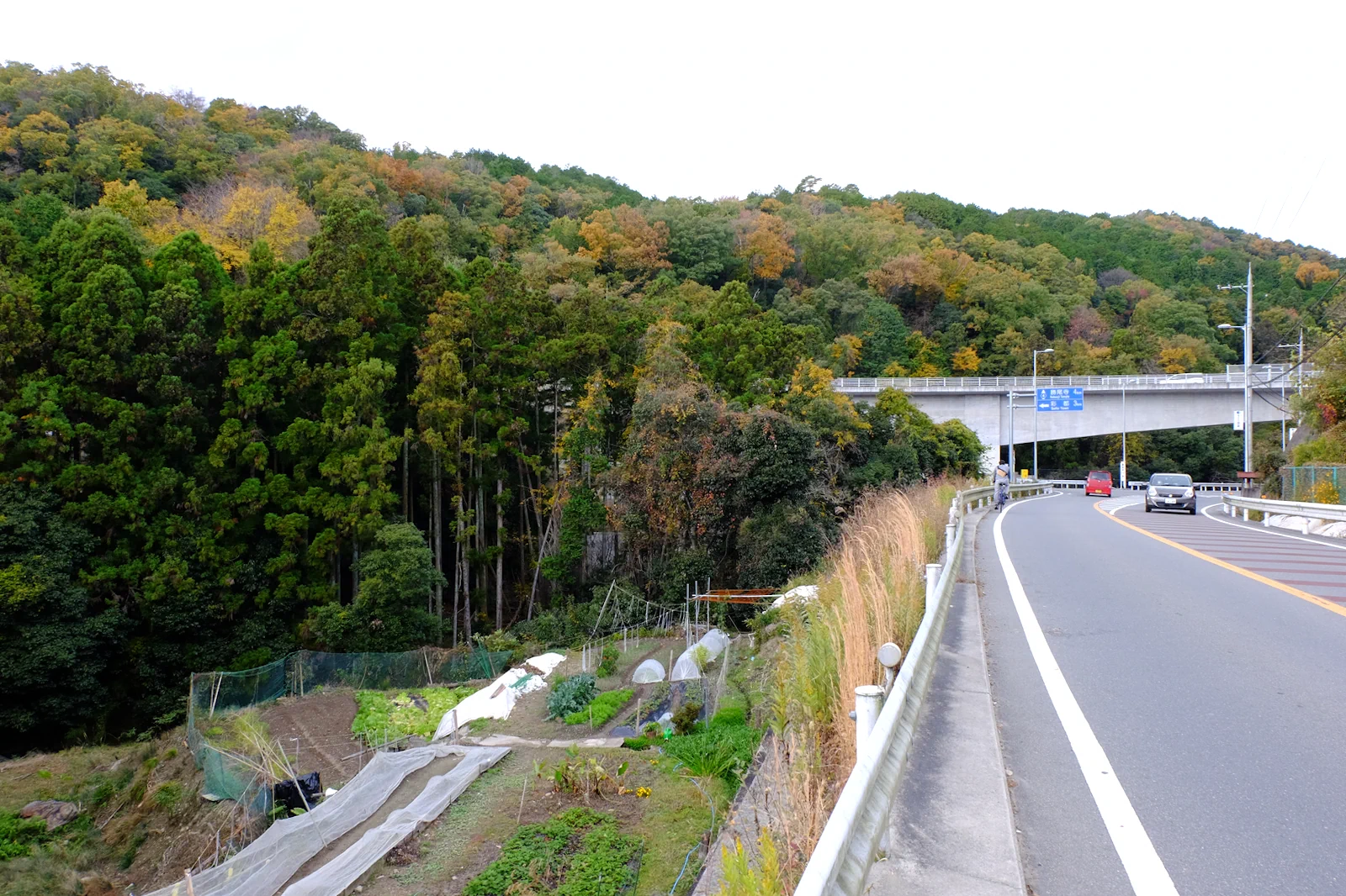 勝尾寺ヒルクライム