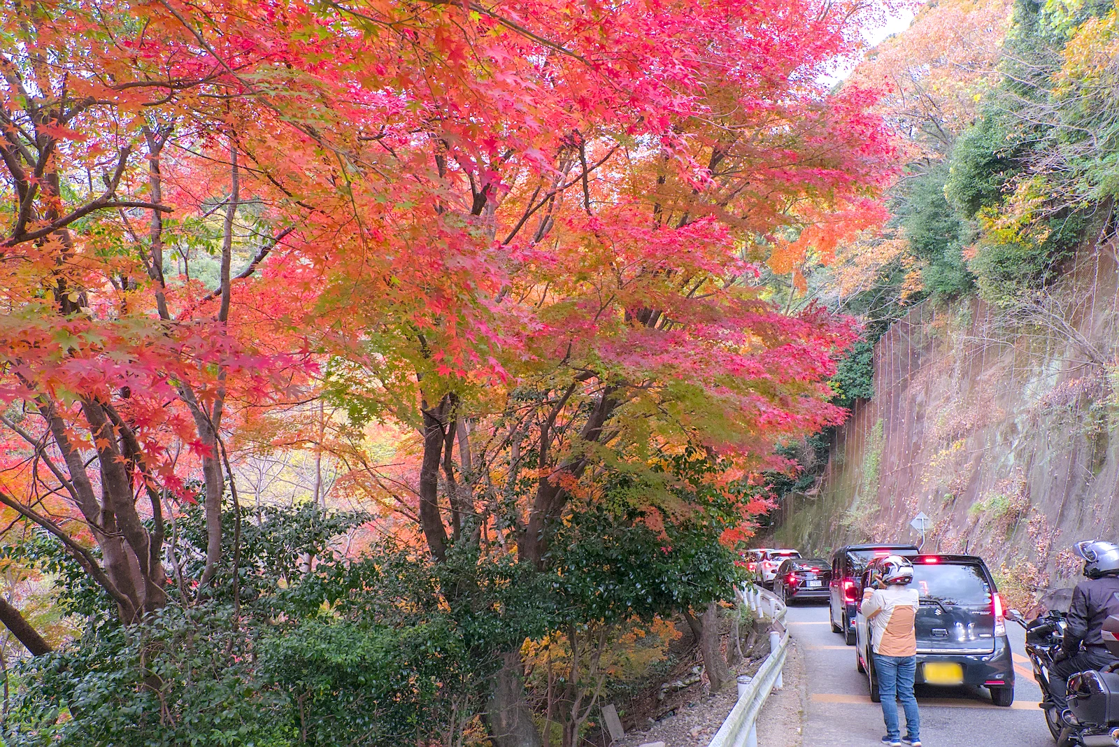 渋滞する道と紅葉