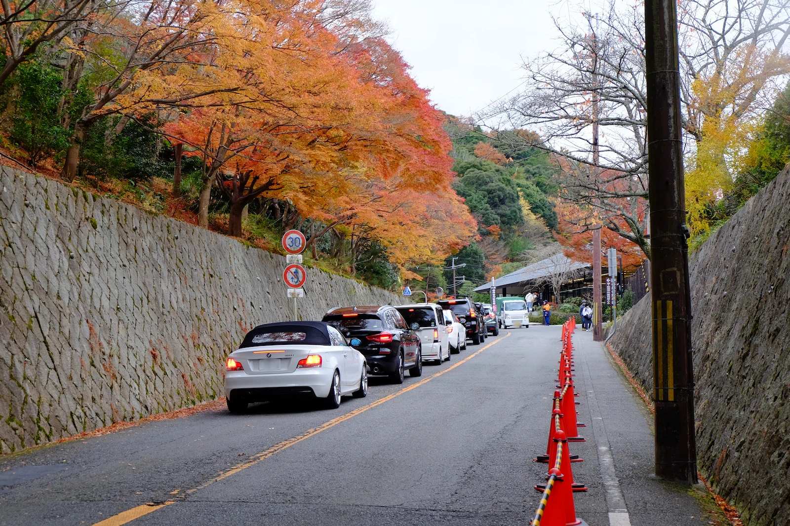 駐車場待ちの車の列