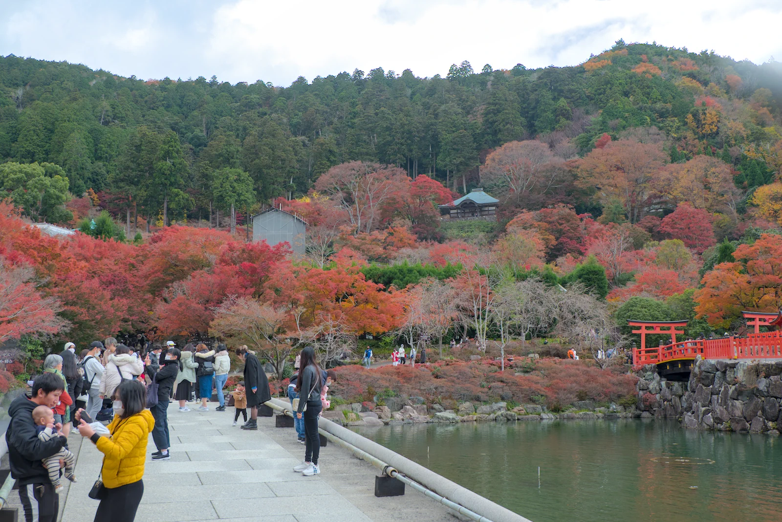 紅葉の勝尾寺