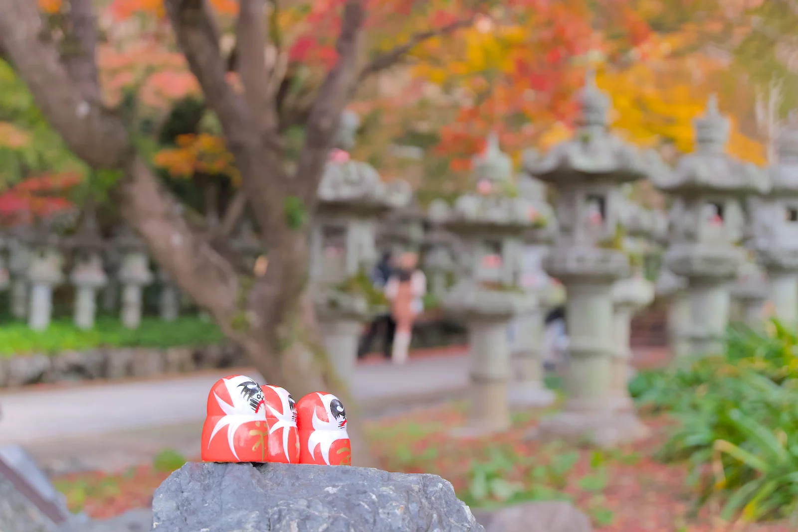 だるまと紅葉