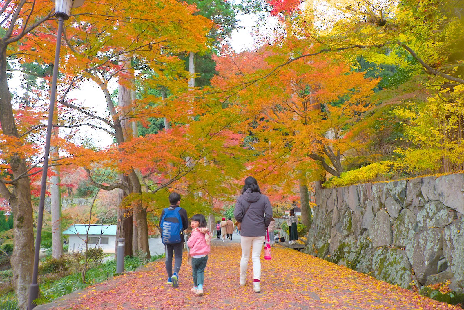 坂を下る
