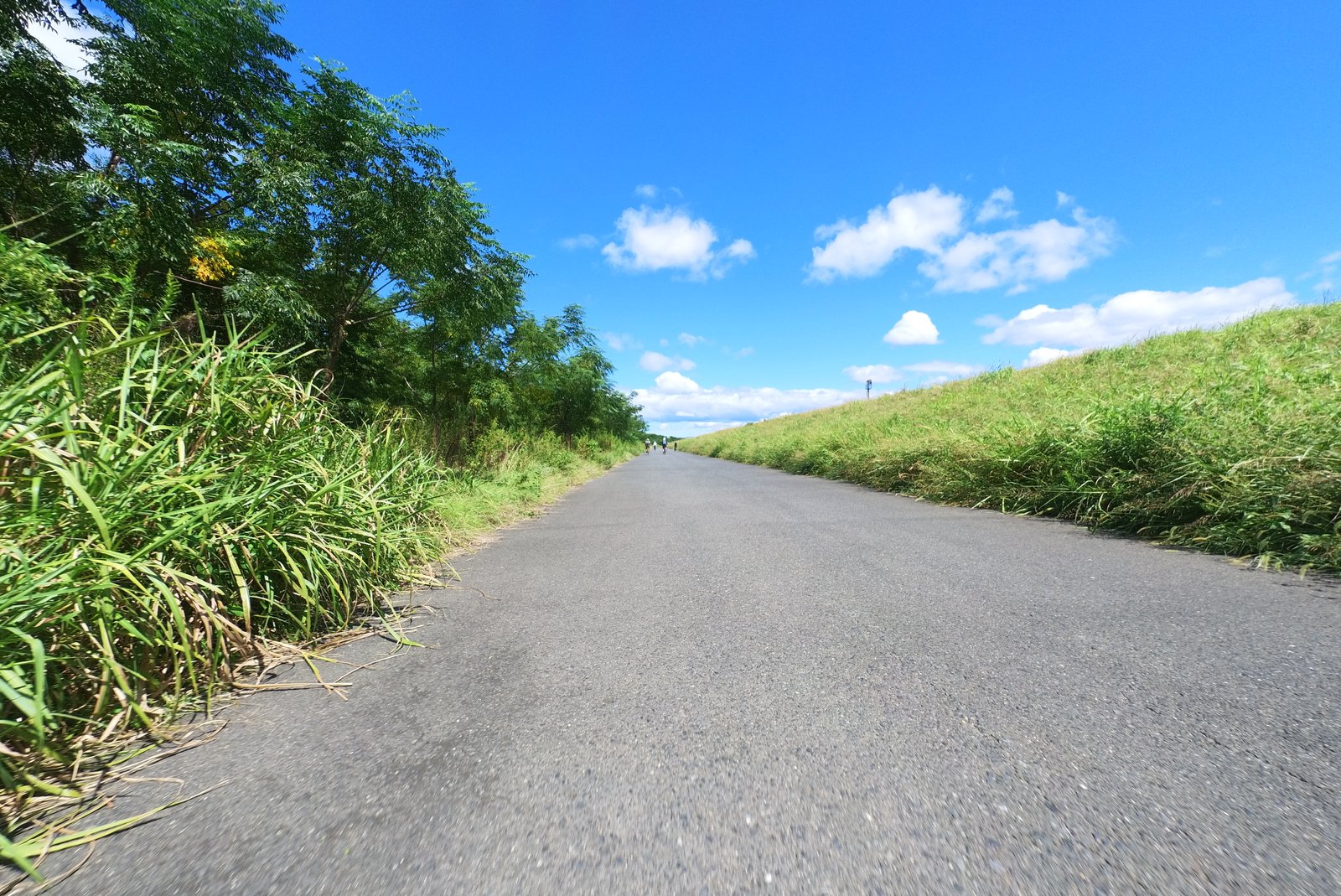 青空の自転車道を走る
