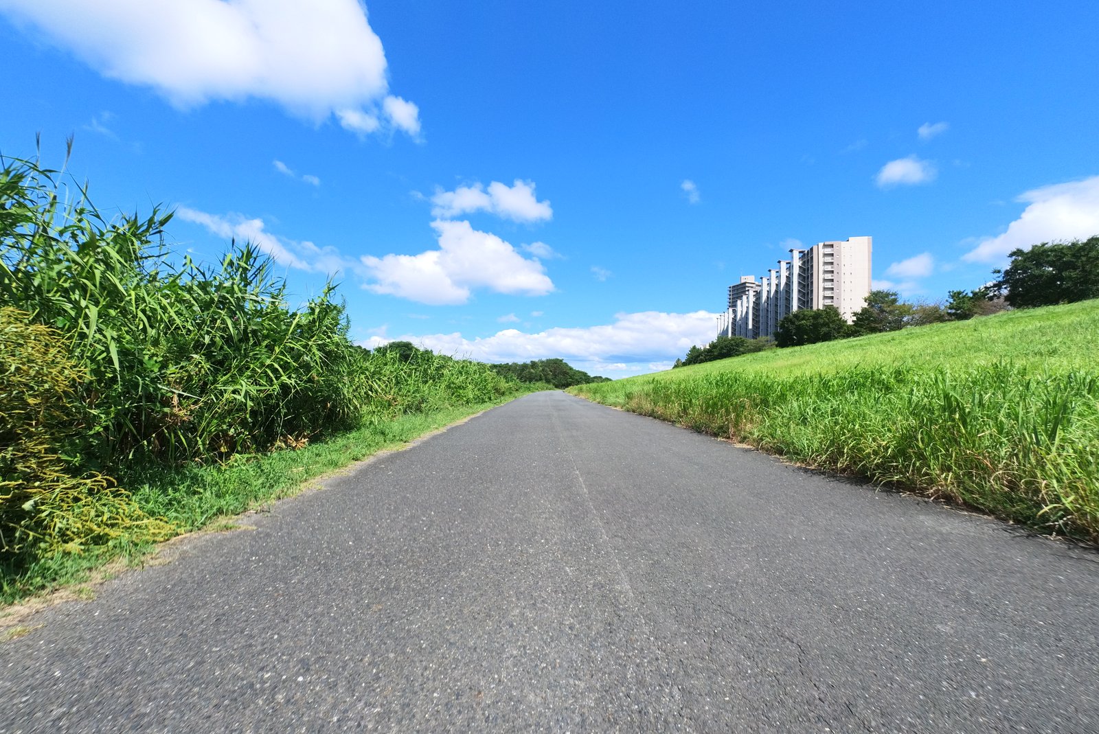青空の自転車道を走る