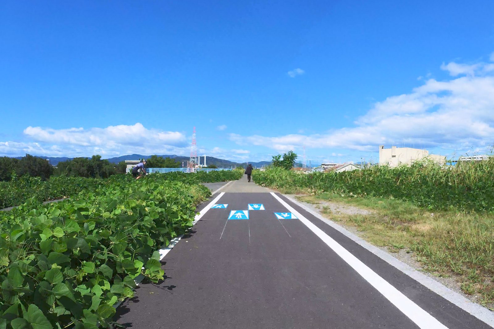 淀川沿いの自転車道 天野川を渡ったあと
