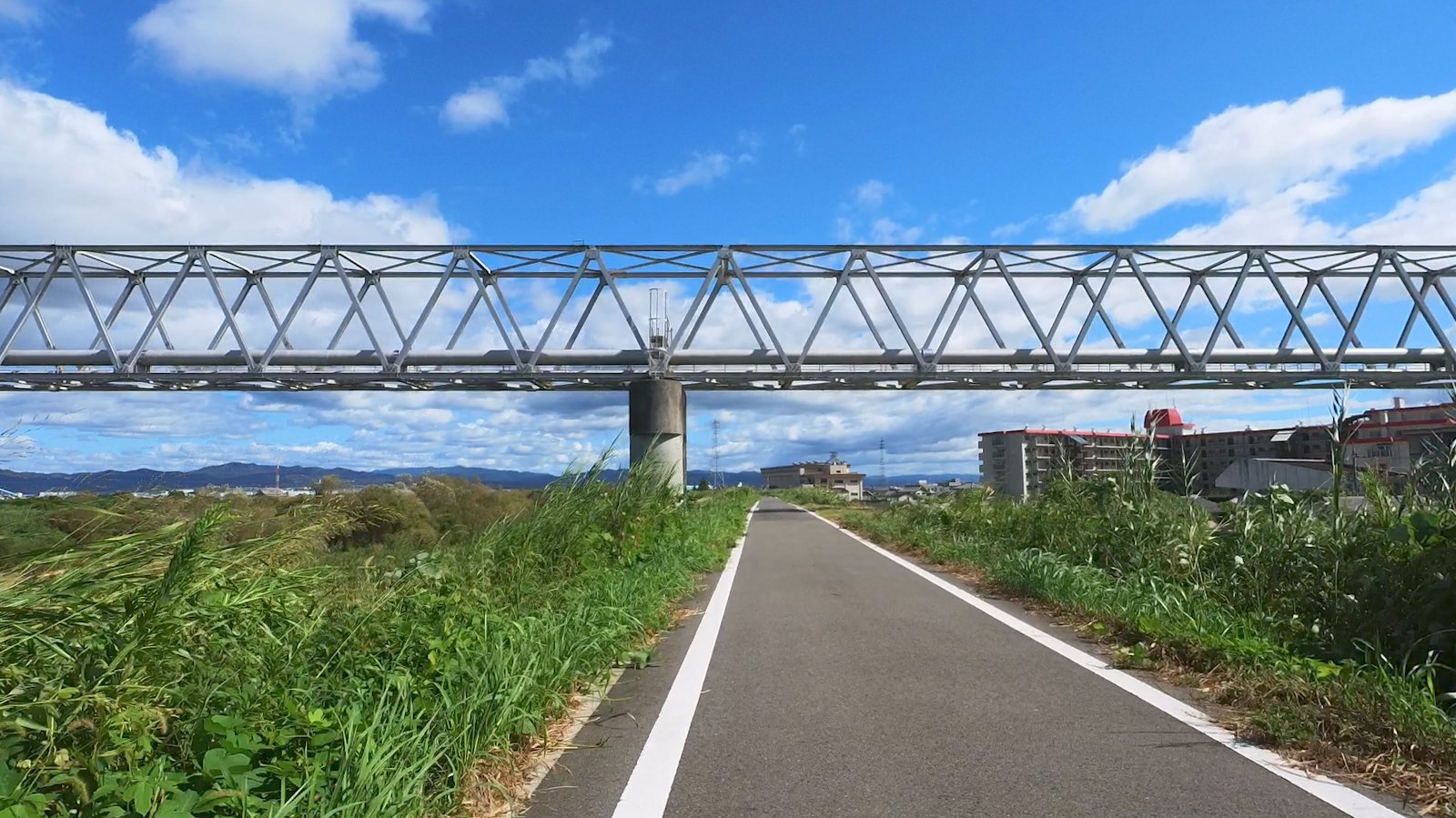 木津川沿いの自転車道の上空にかかるガスパイプライン