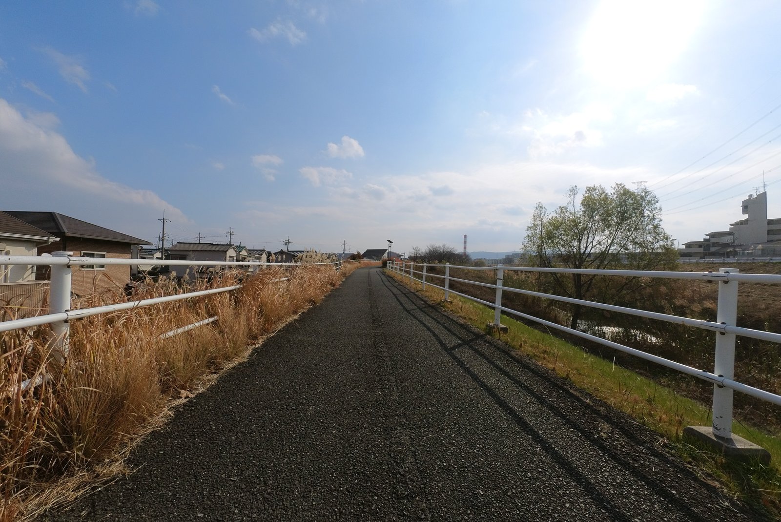 穂谷川沿いの自転車道