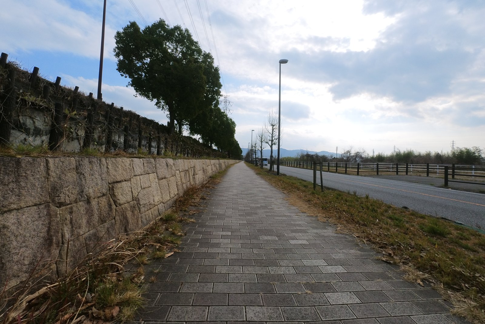 山田池公園付近の道