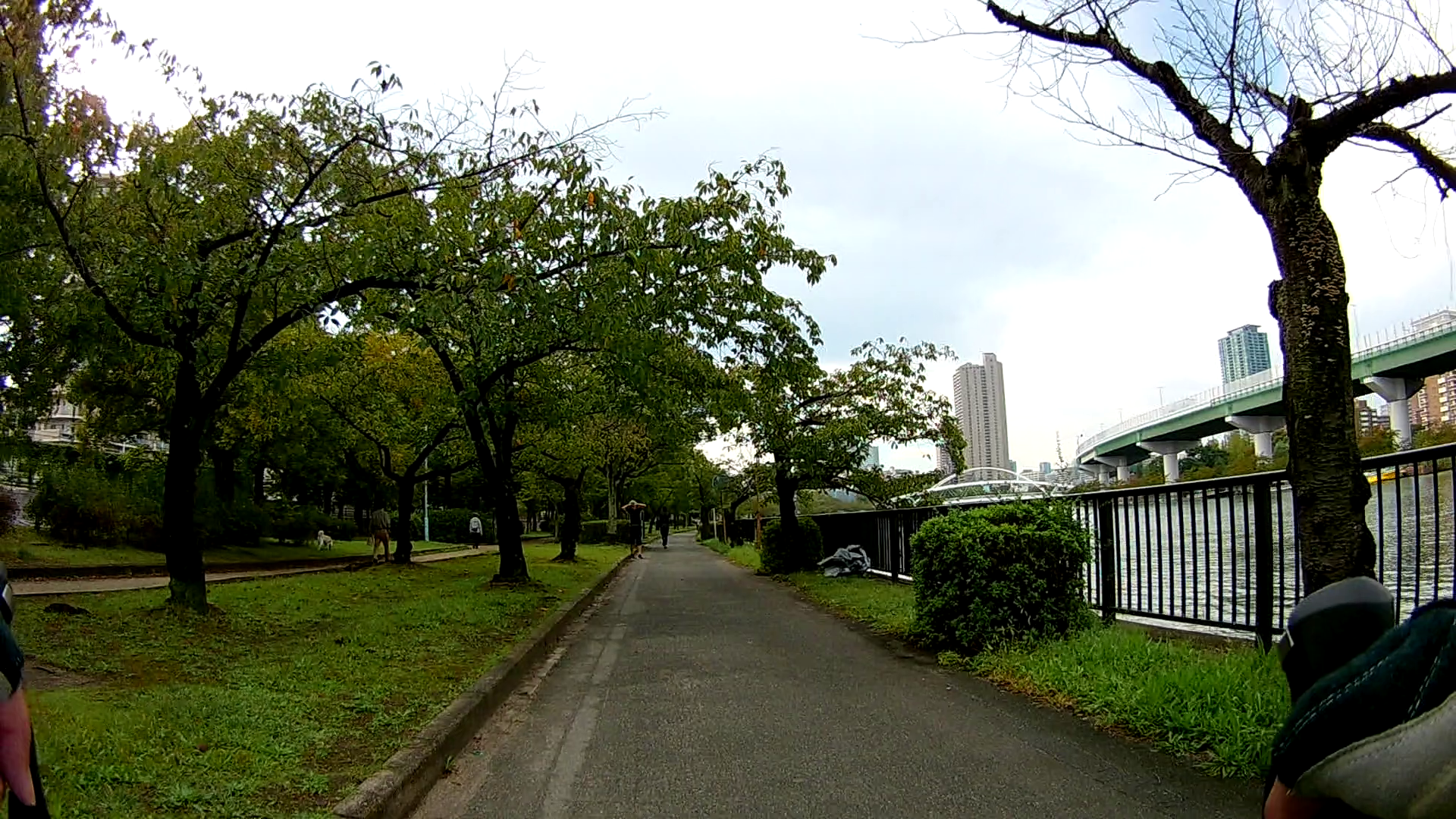 大川沿い
