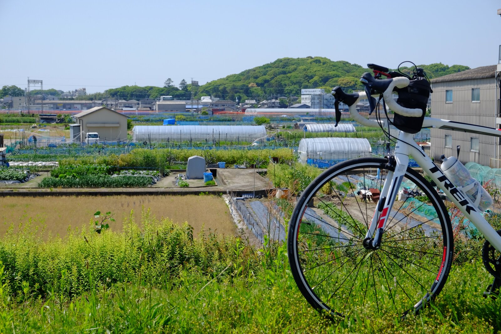 自転車と奥に誉田御廟山古墳