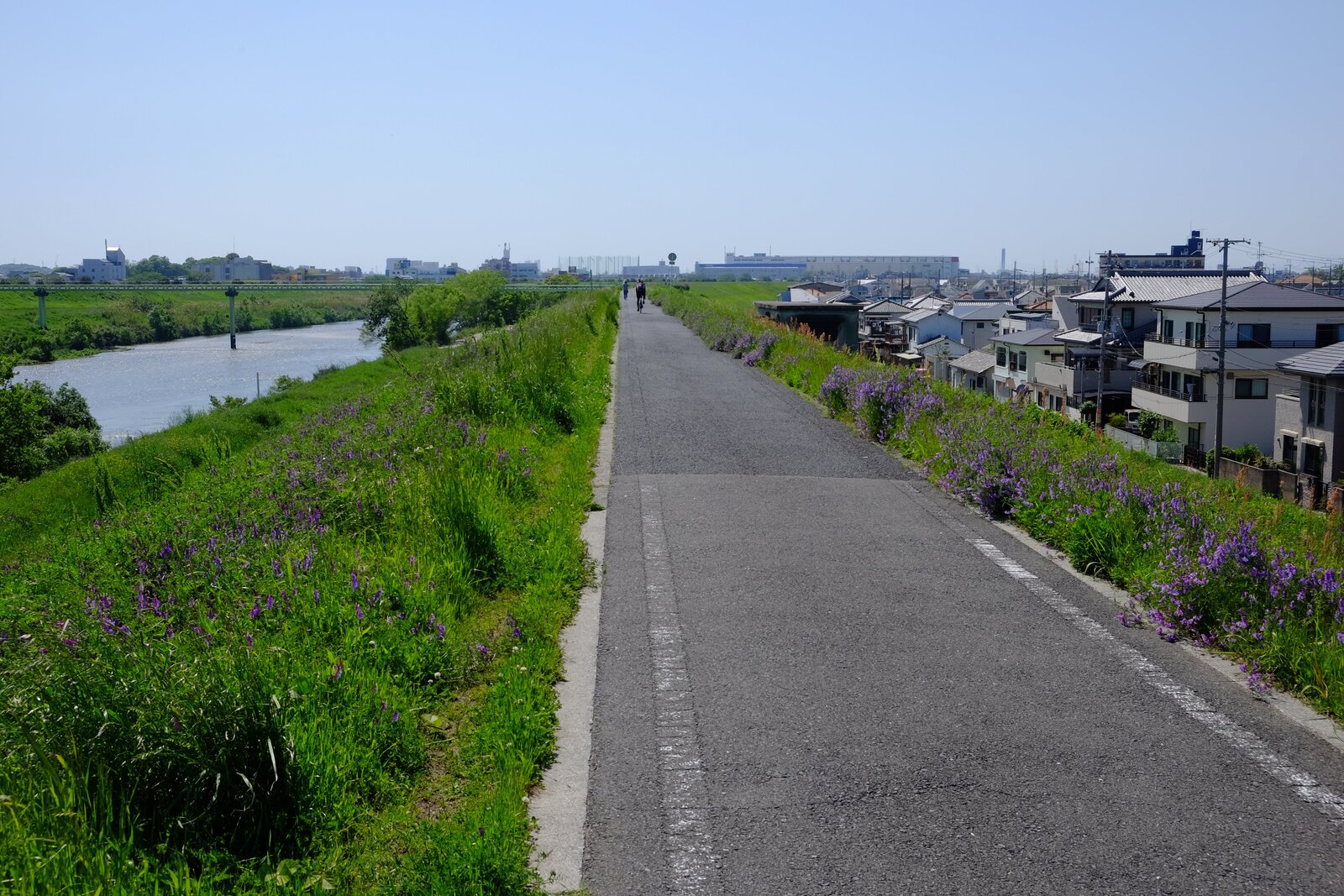 大和川沿いの南河内サイクルライン
