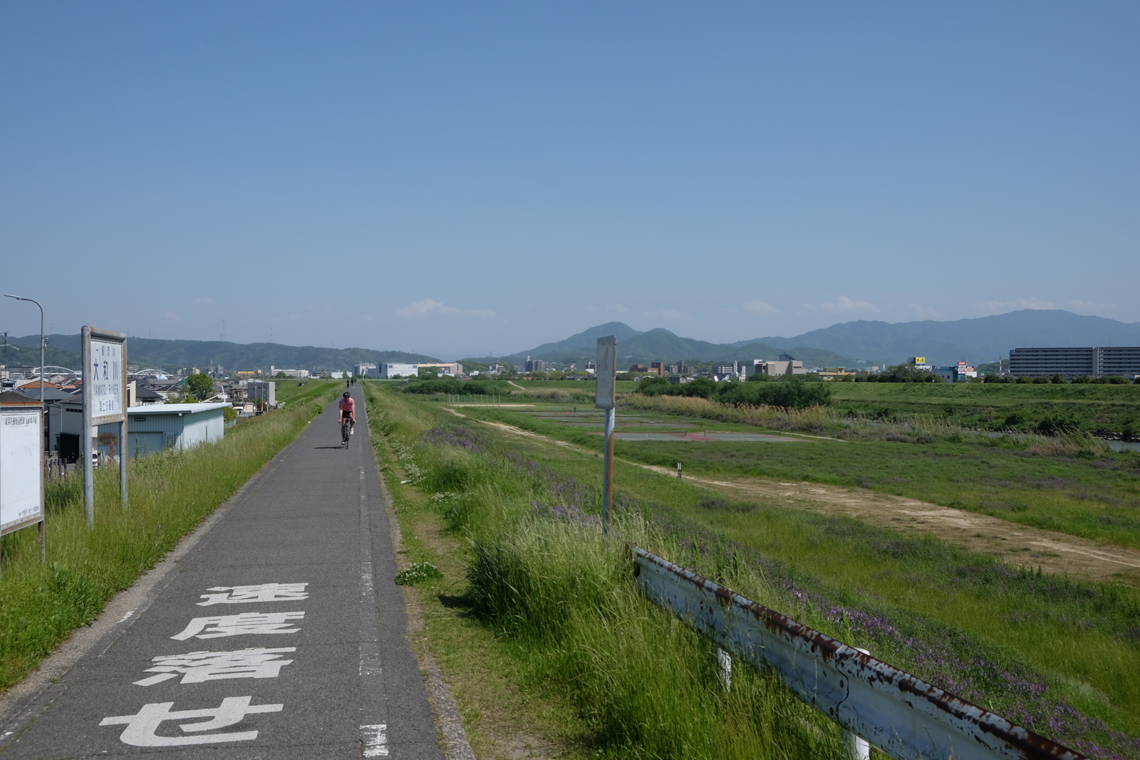南河内サイクルラインを進むサイクリスト