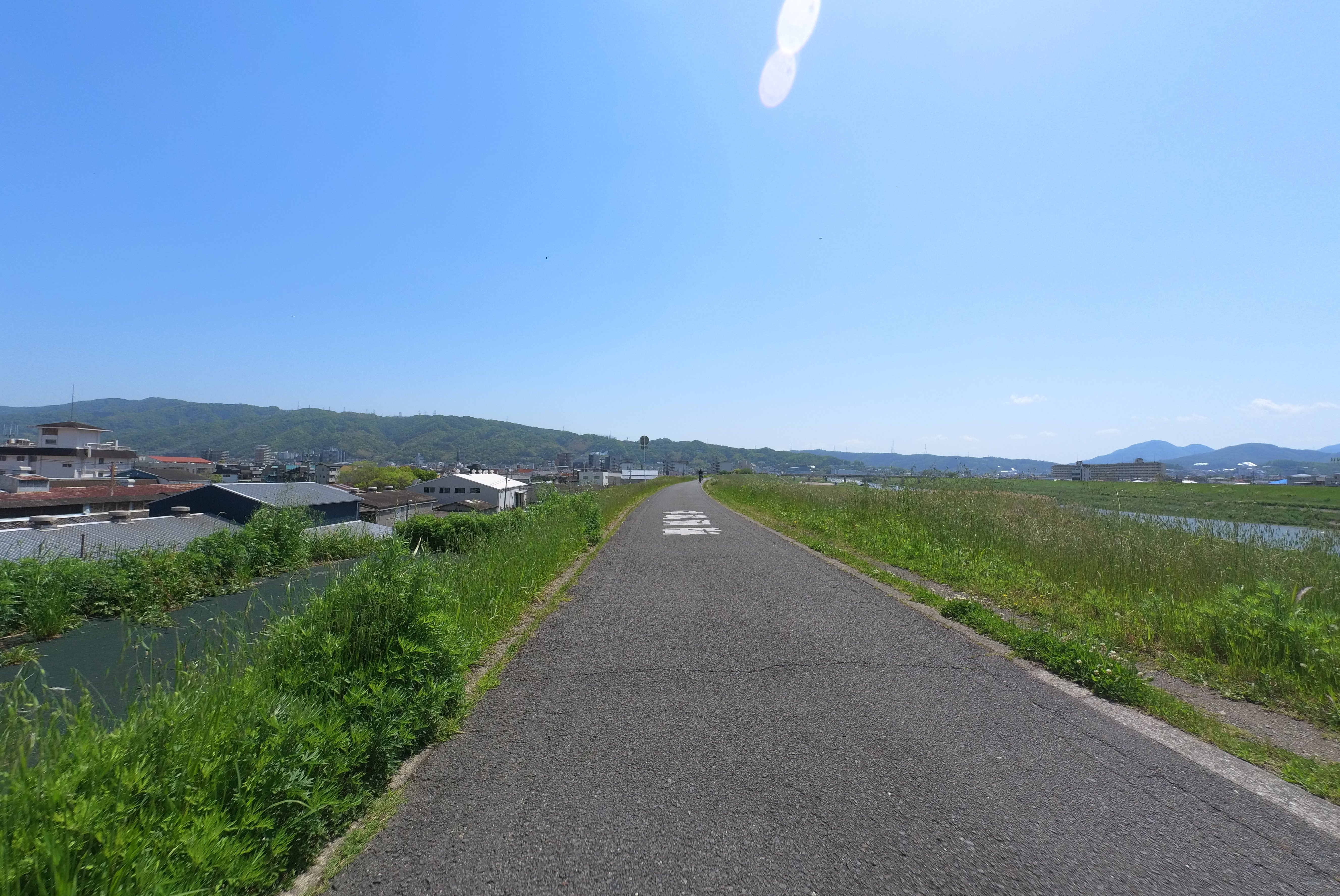 大和川沿いの道
