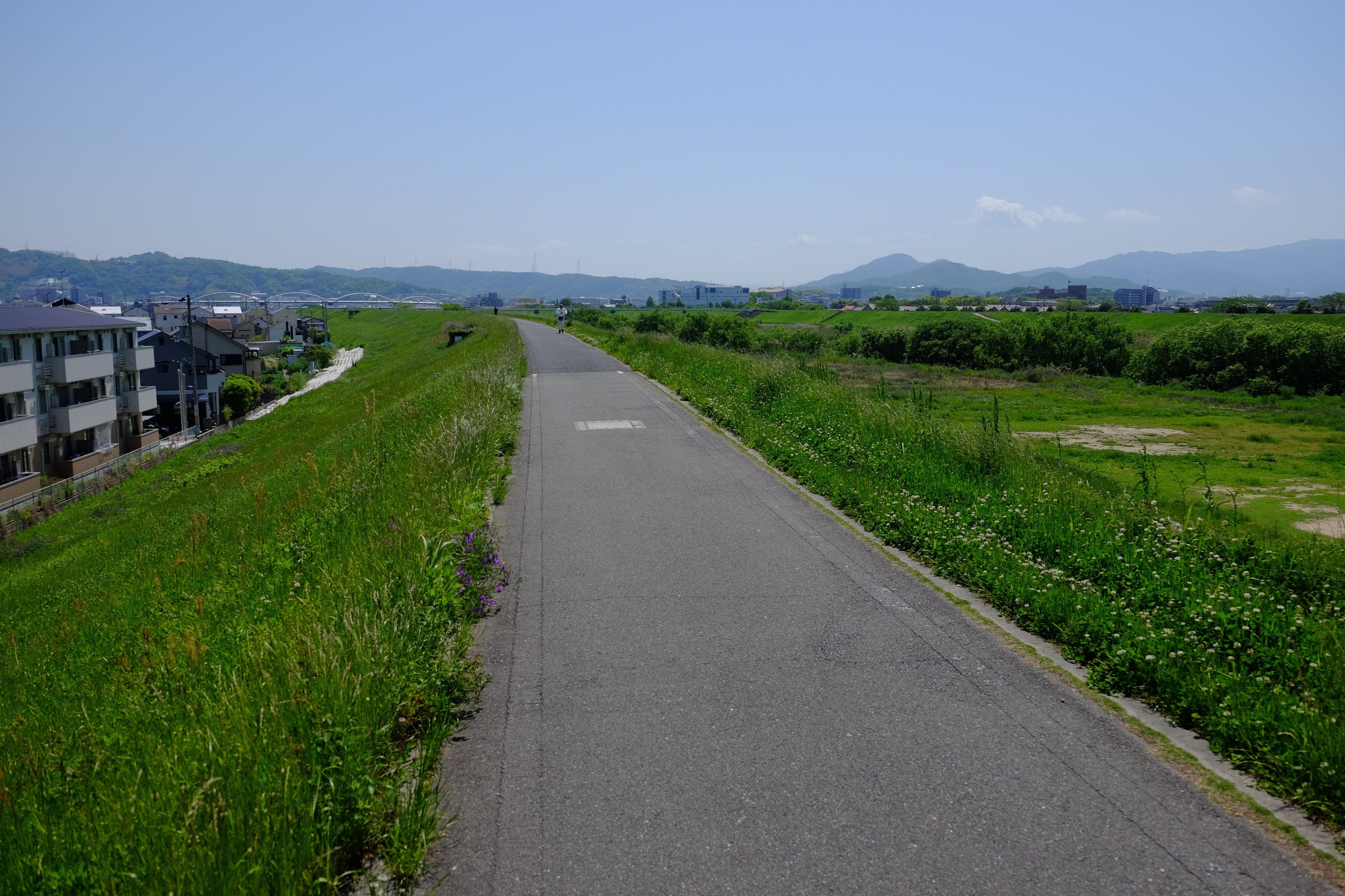 川沿いの自転車道