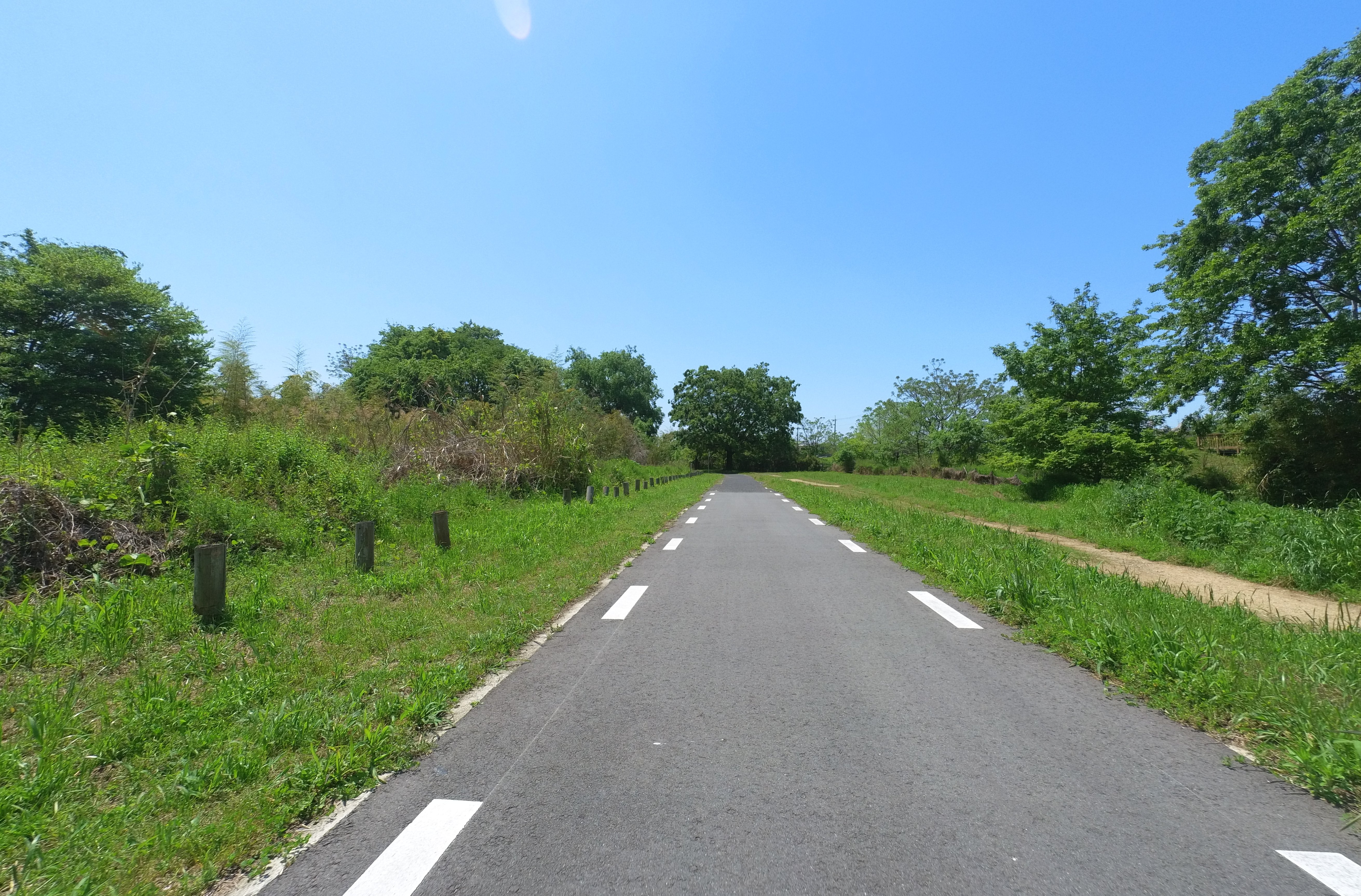 自転車道