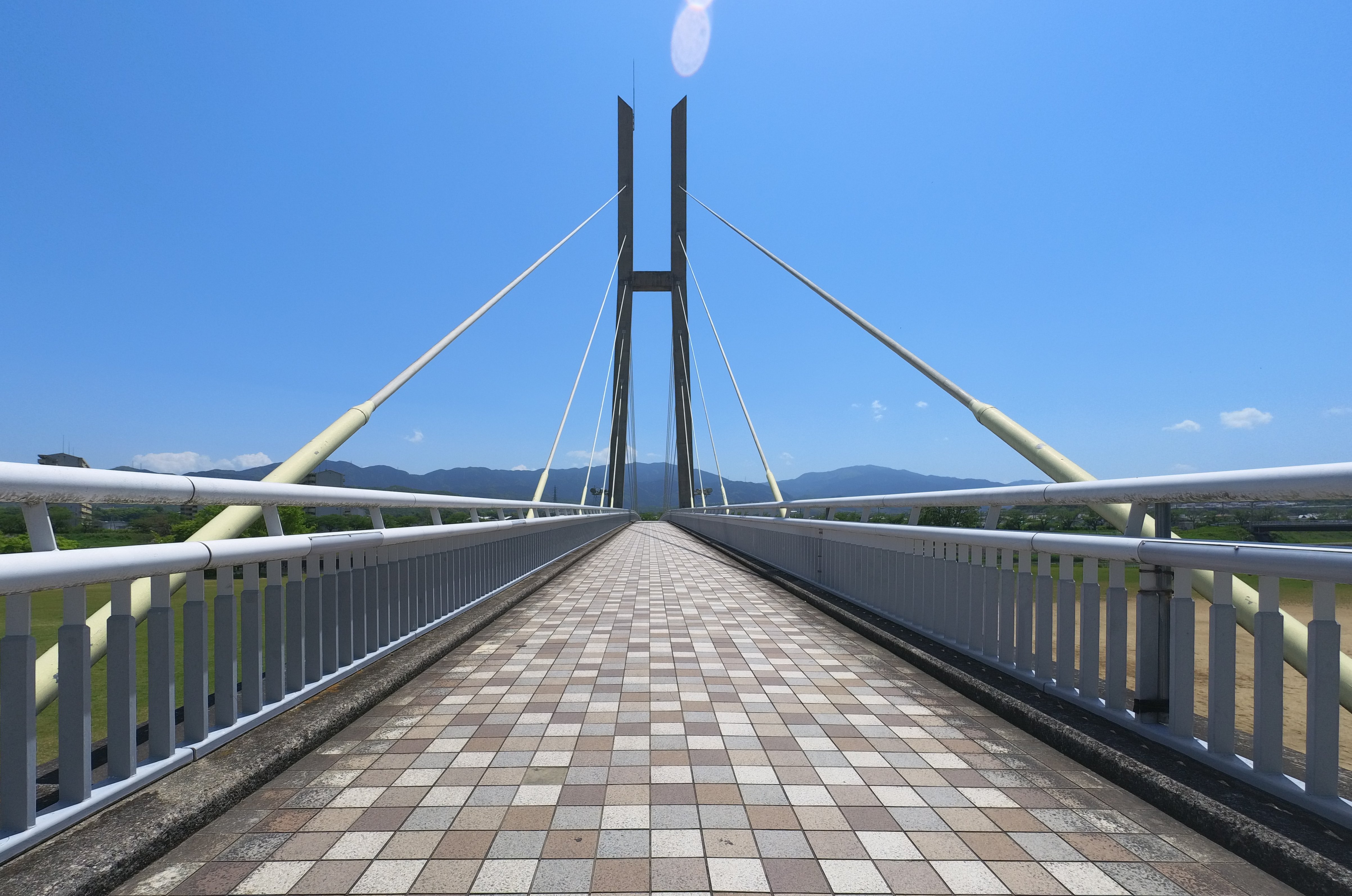 南河内サイクルライン 往路 featured image