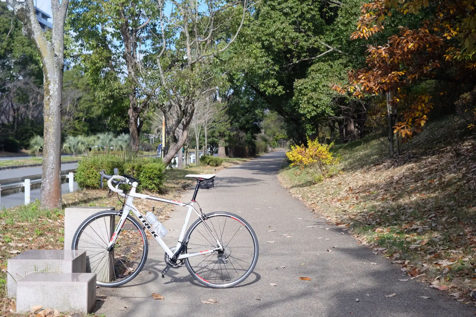 千里中央公園沿いの道