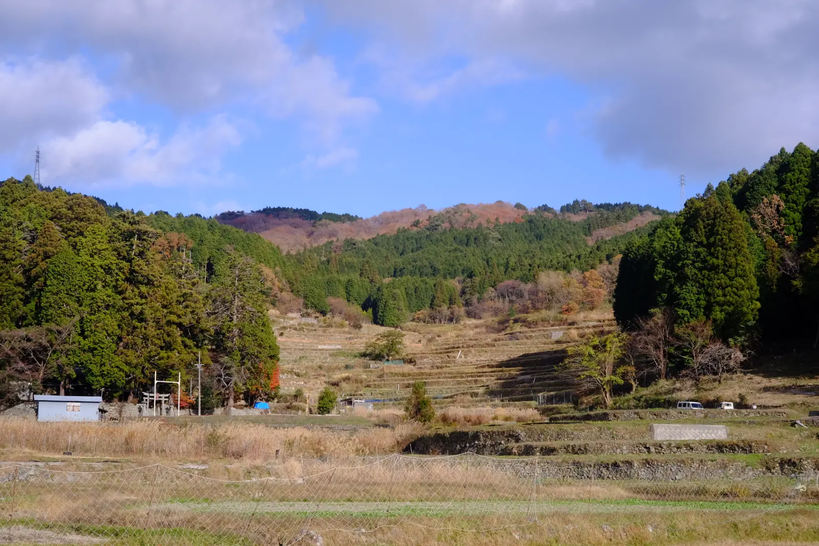 高山の棚田