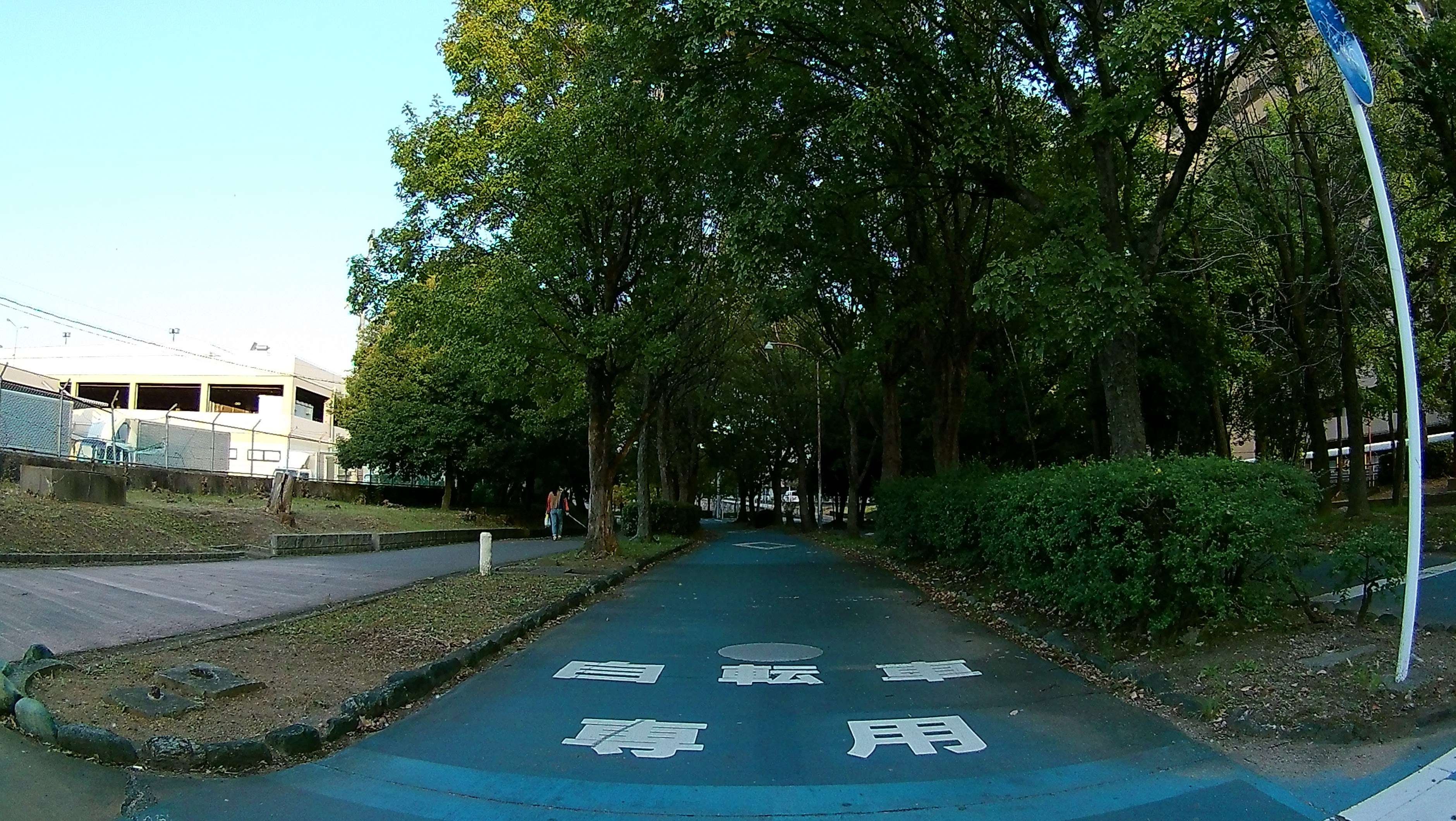 青く塗られた自転車専用道路