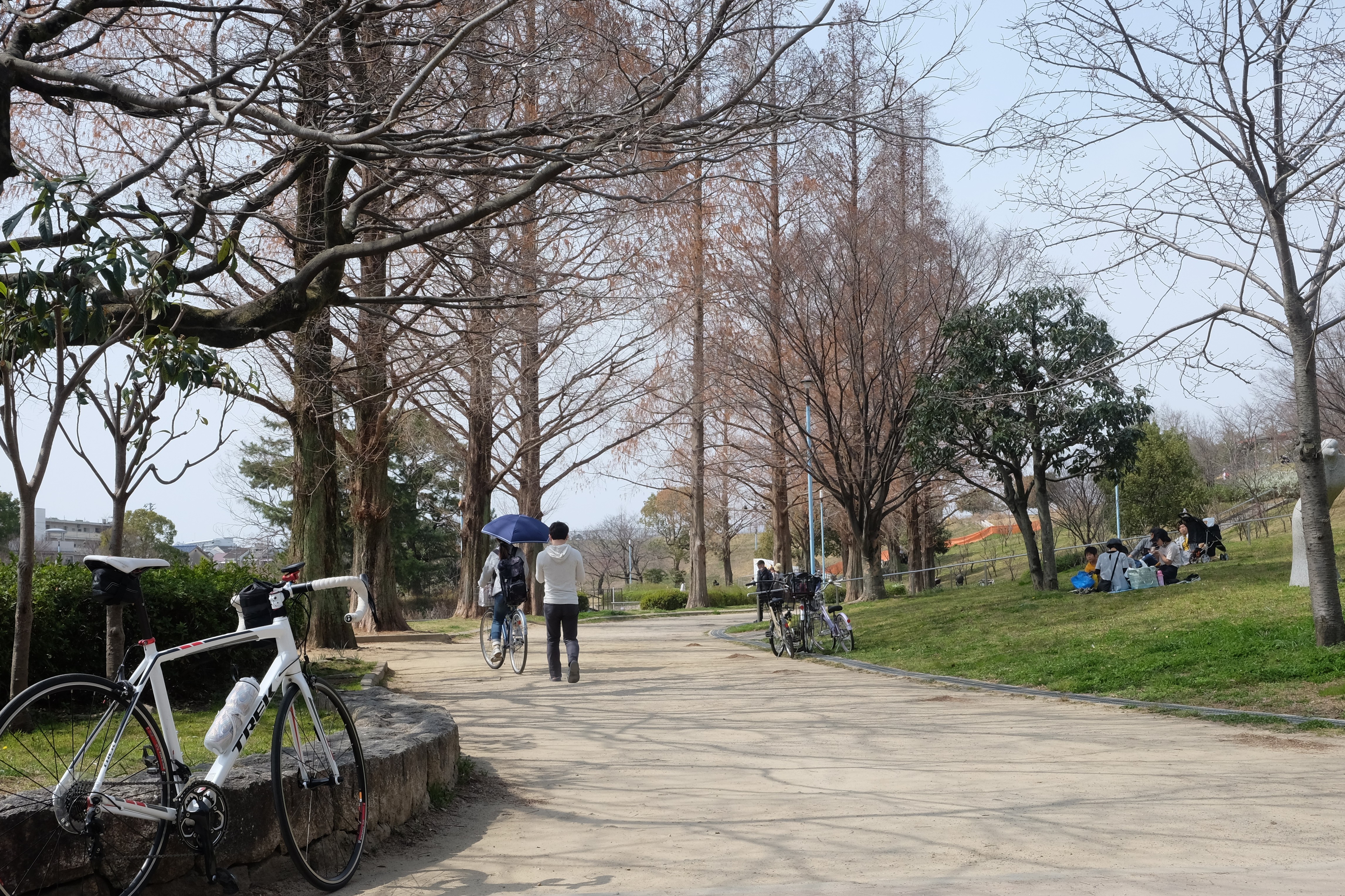 城北公園