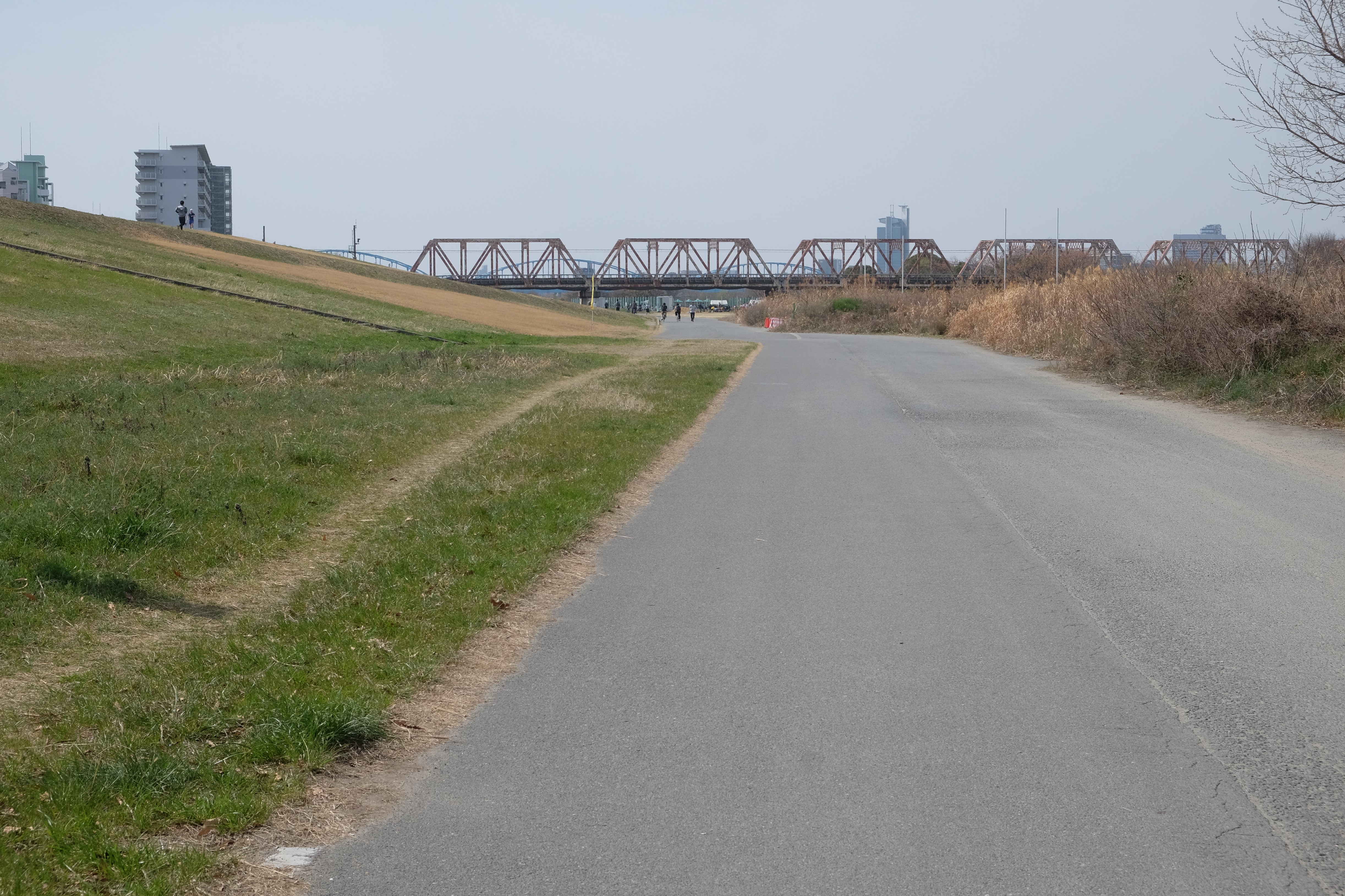 淀川沿いの道