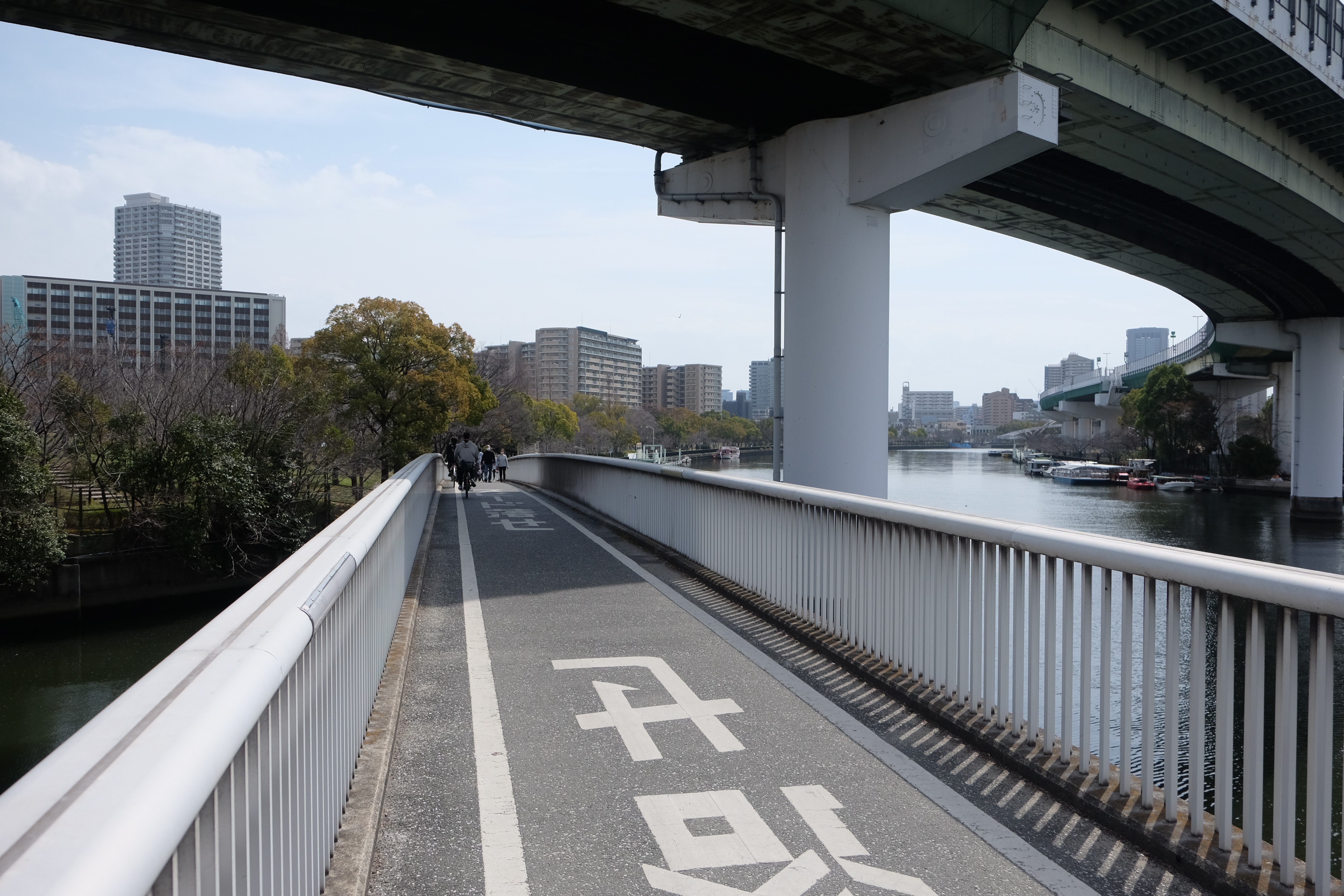大川沿いの道