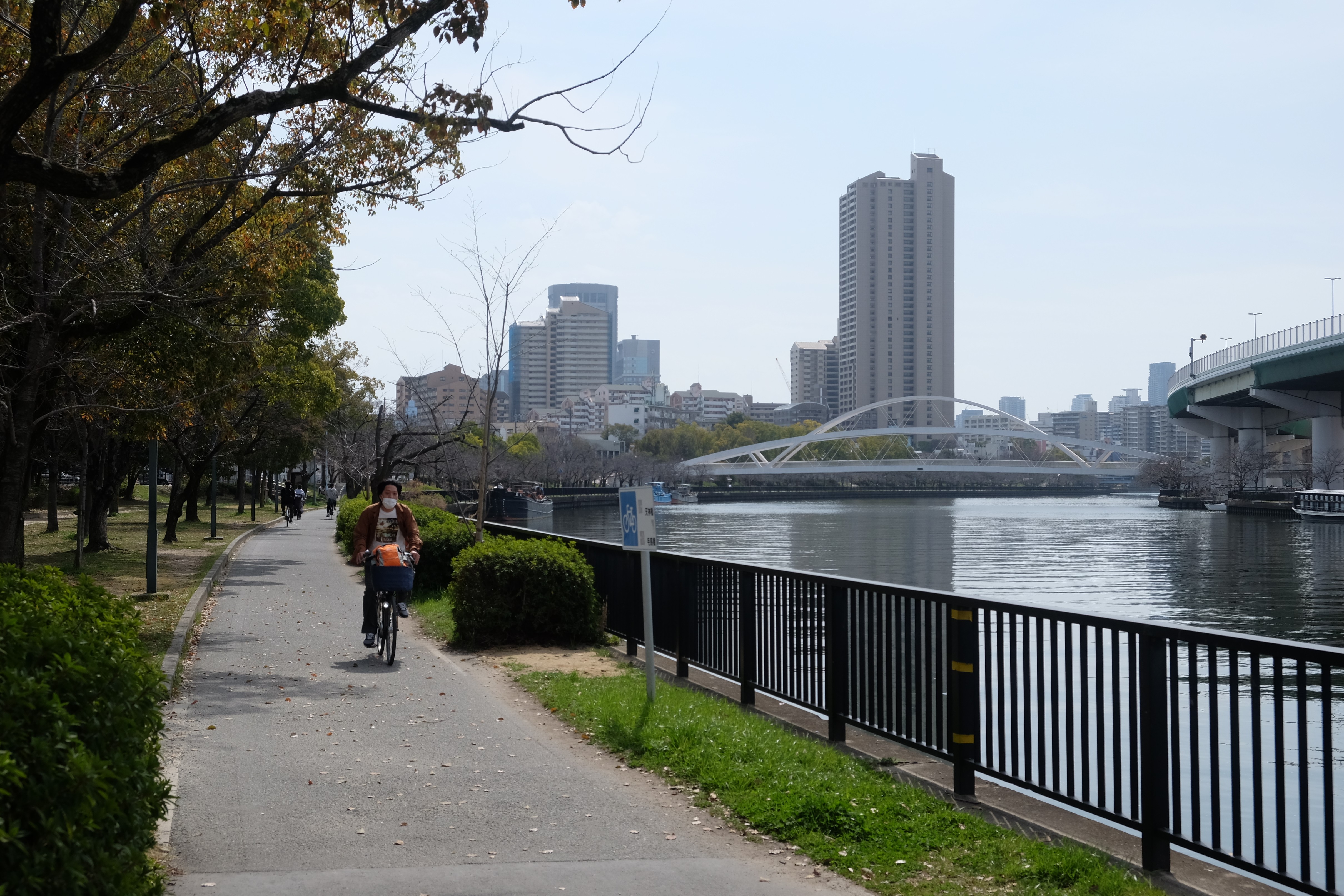 大川沿いの道