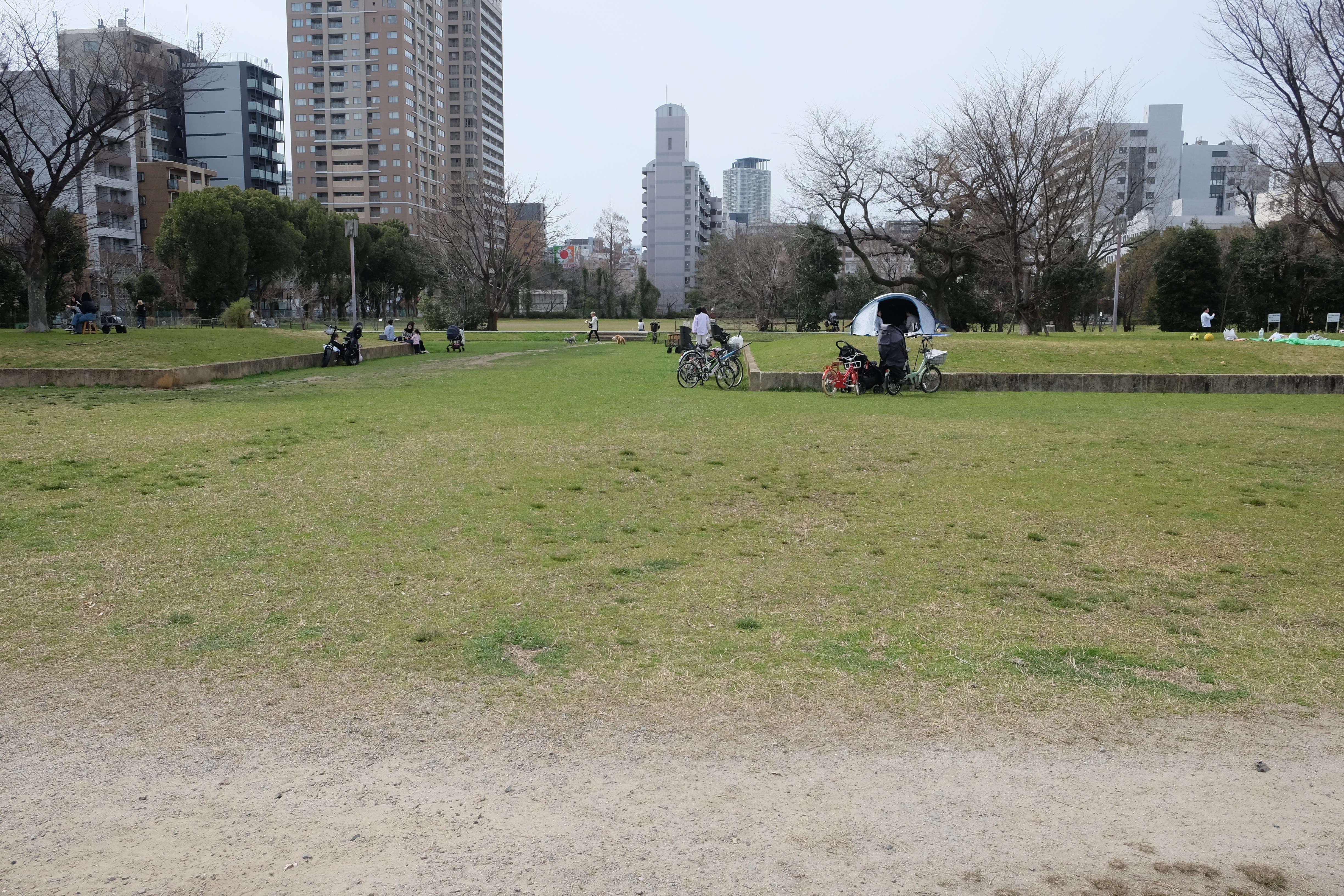 低い石段