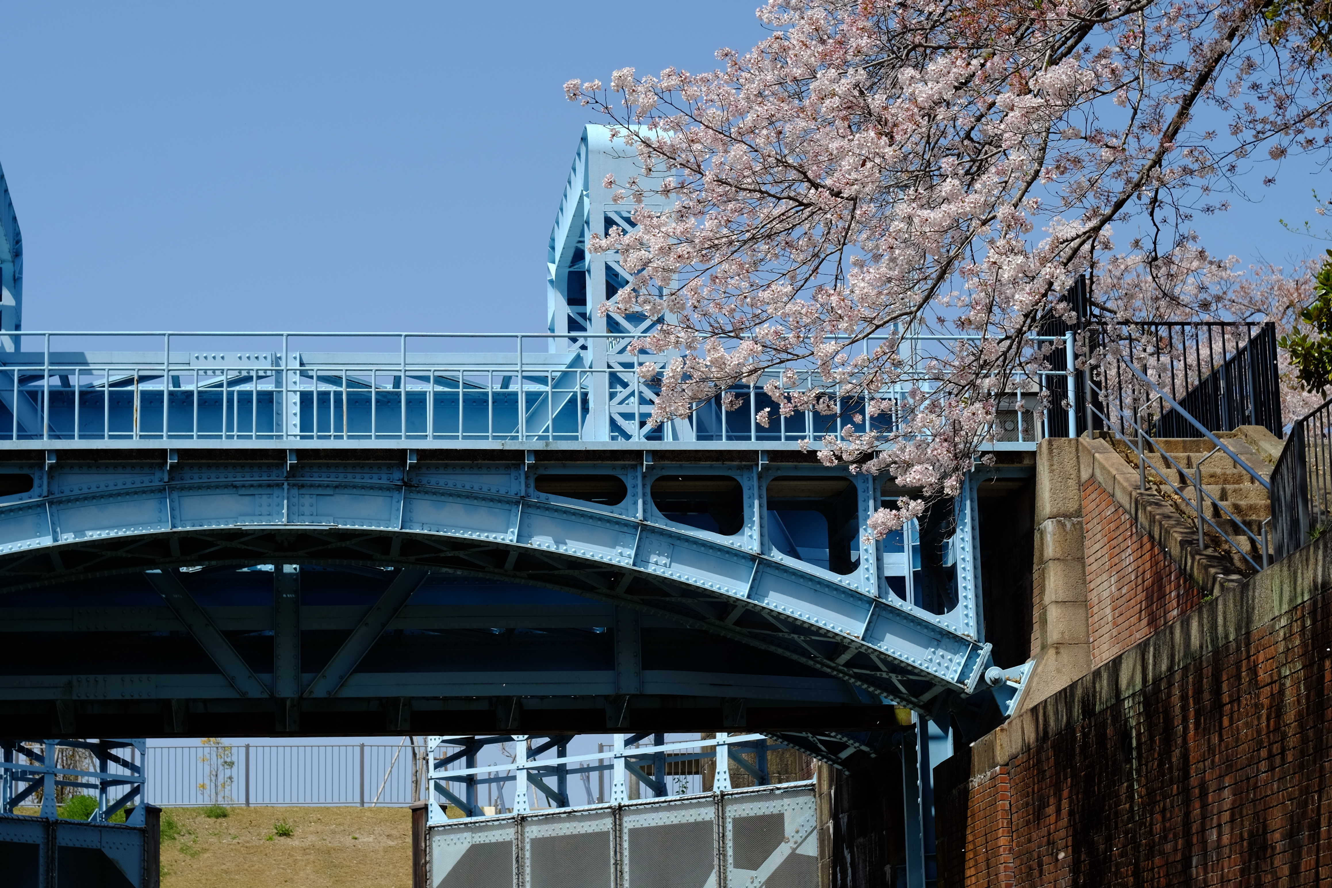 旧第1閘門の上に咲く桜
