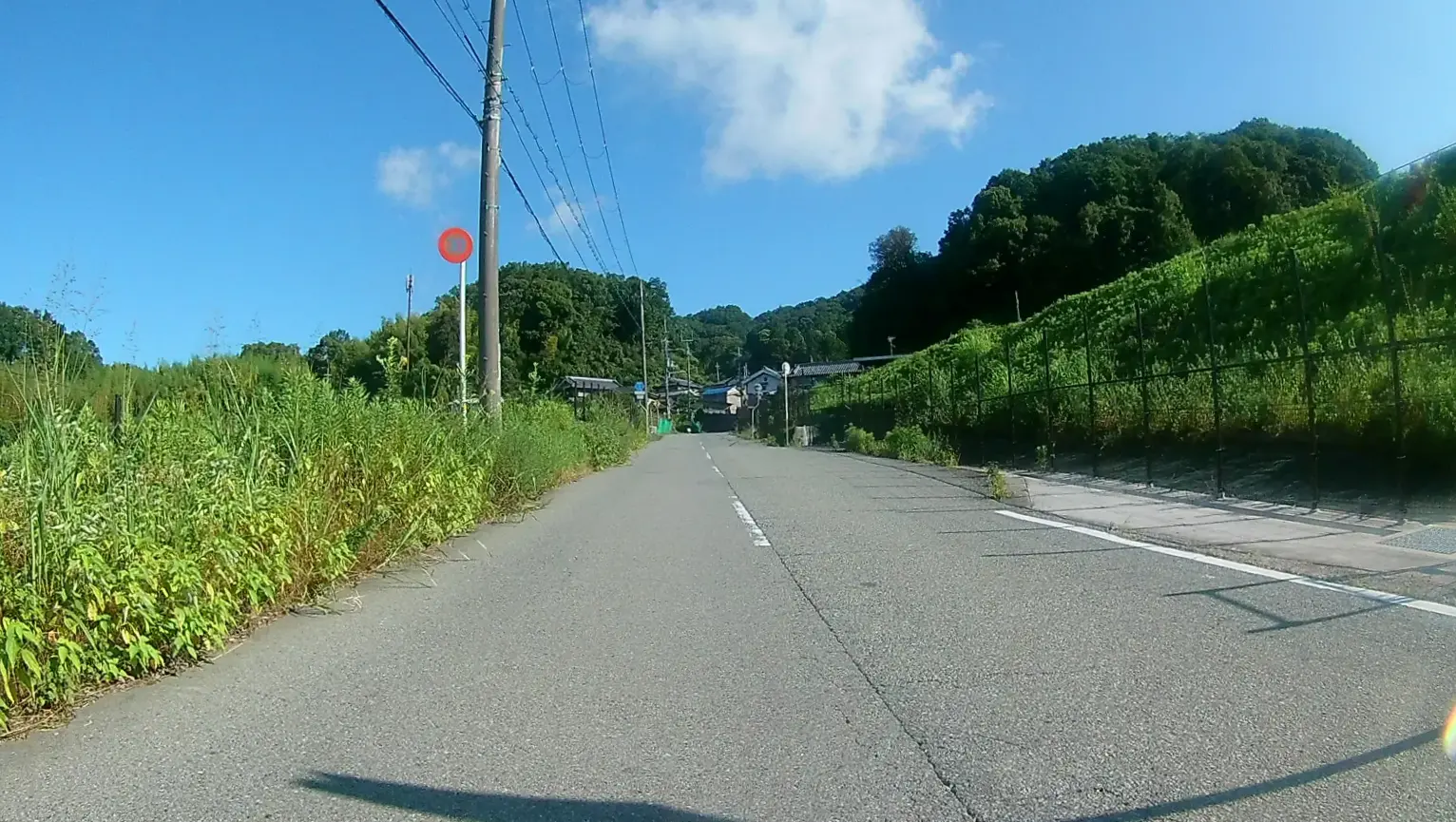忍頂寺まであとひといき