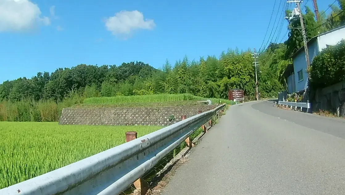 田圃