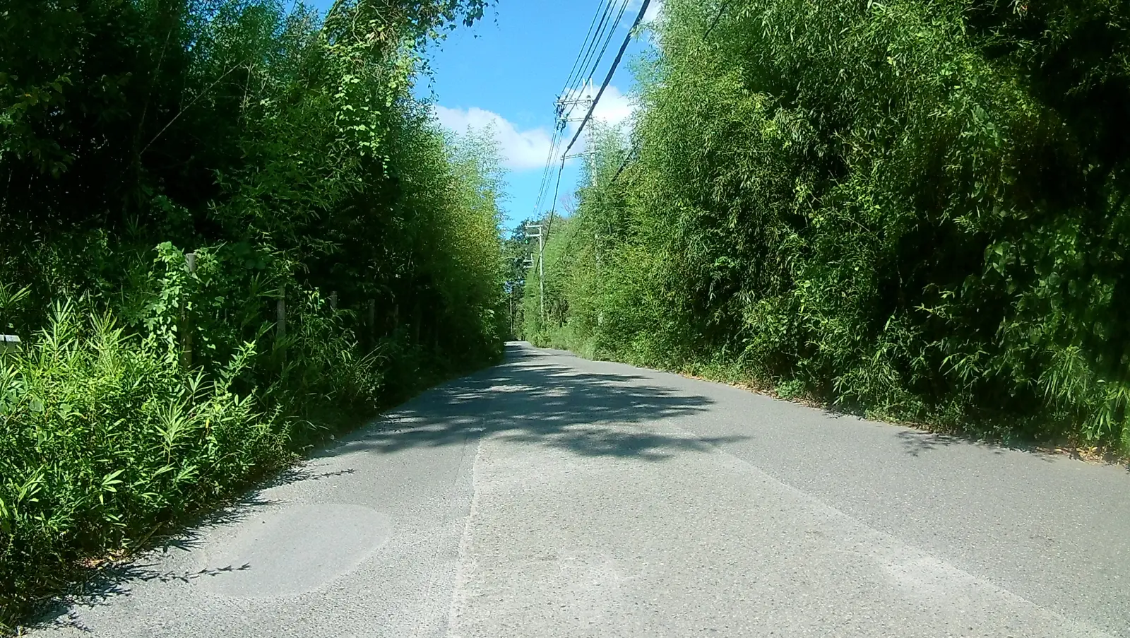 府道1号
