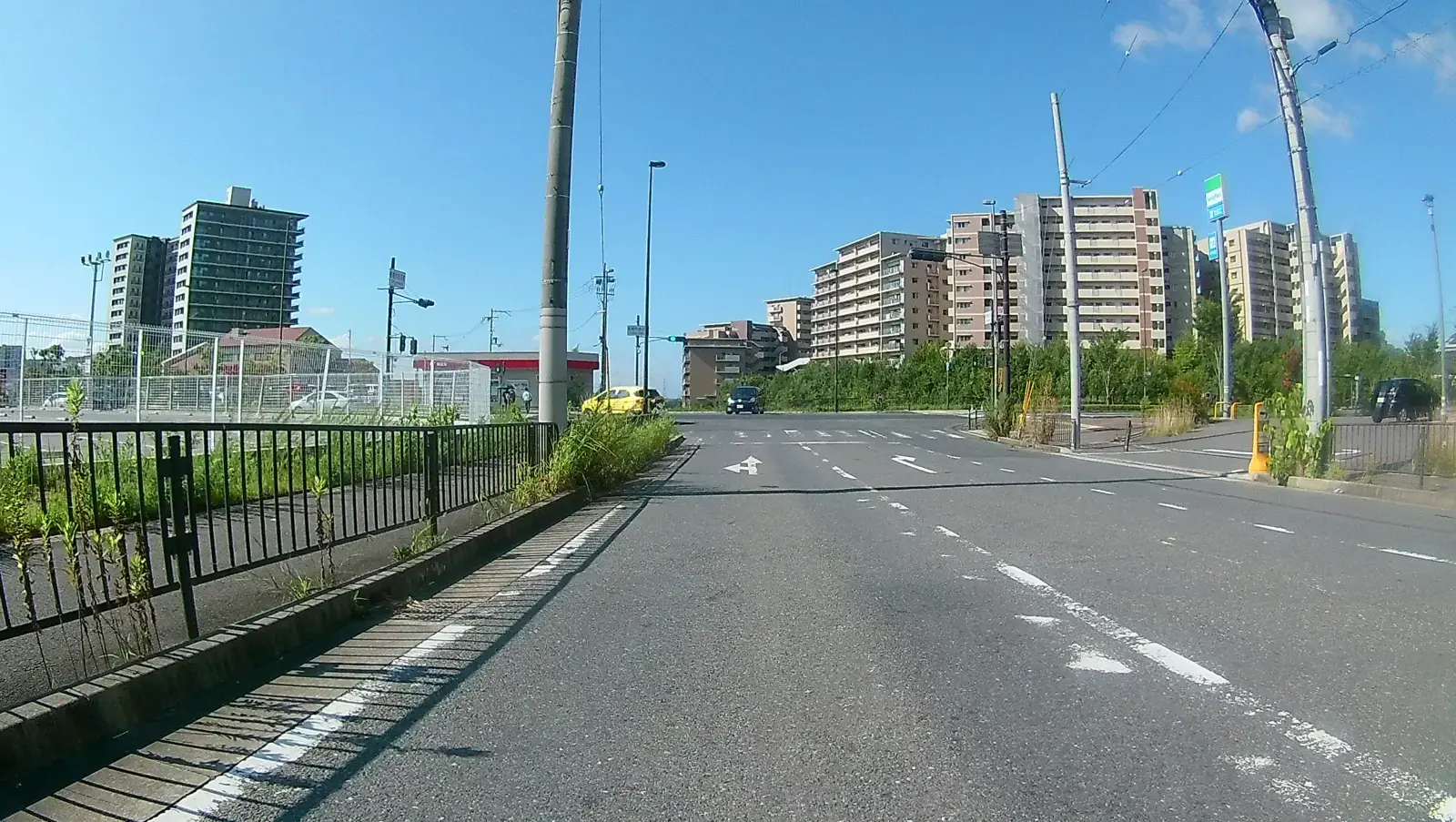 彩都に出た