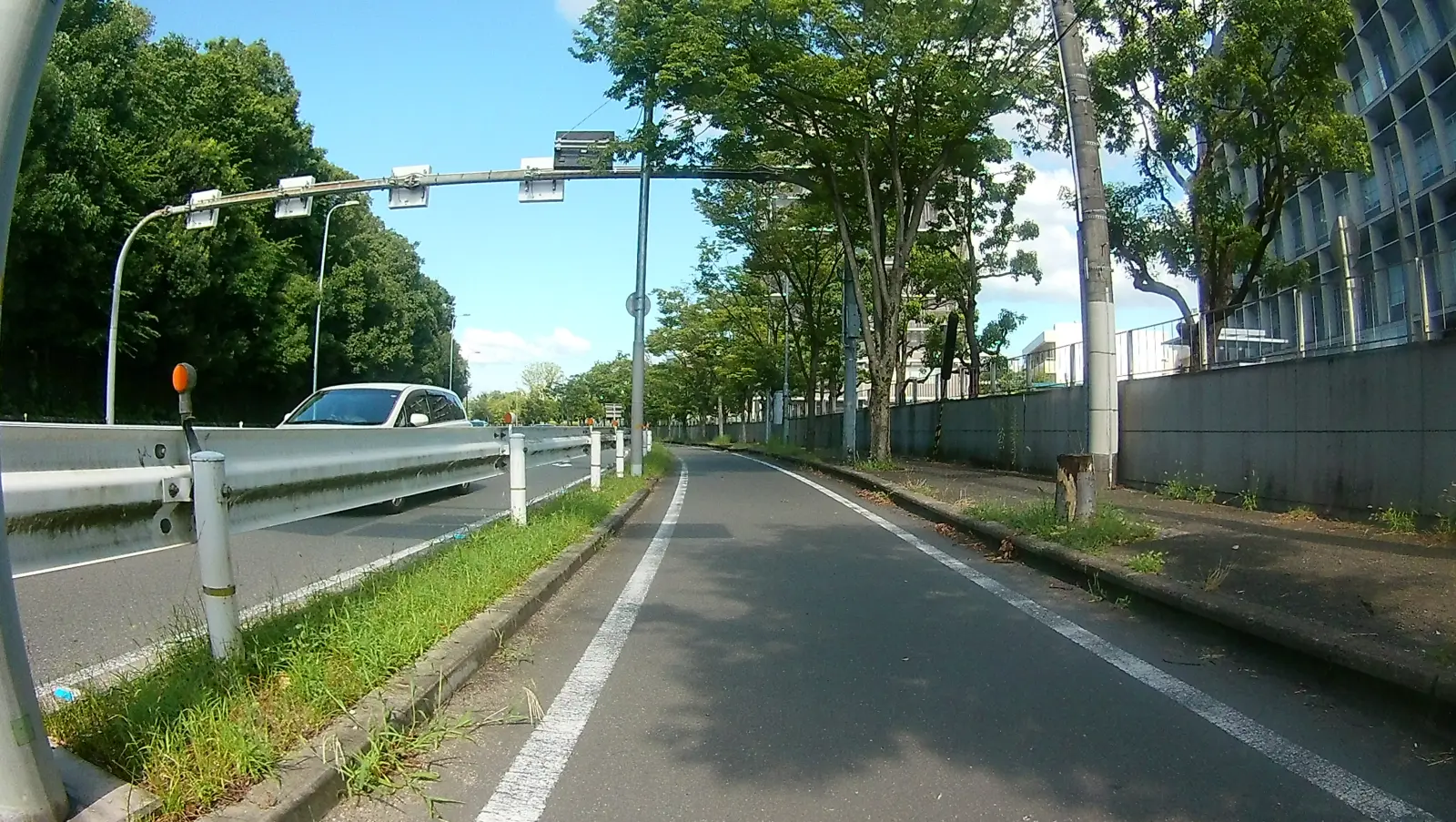 万博記念公園周遊道路