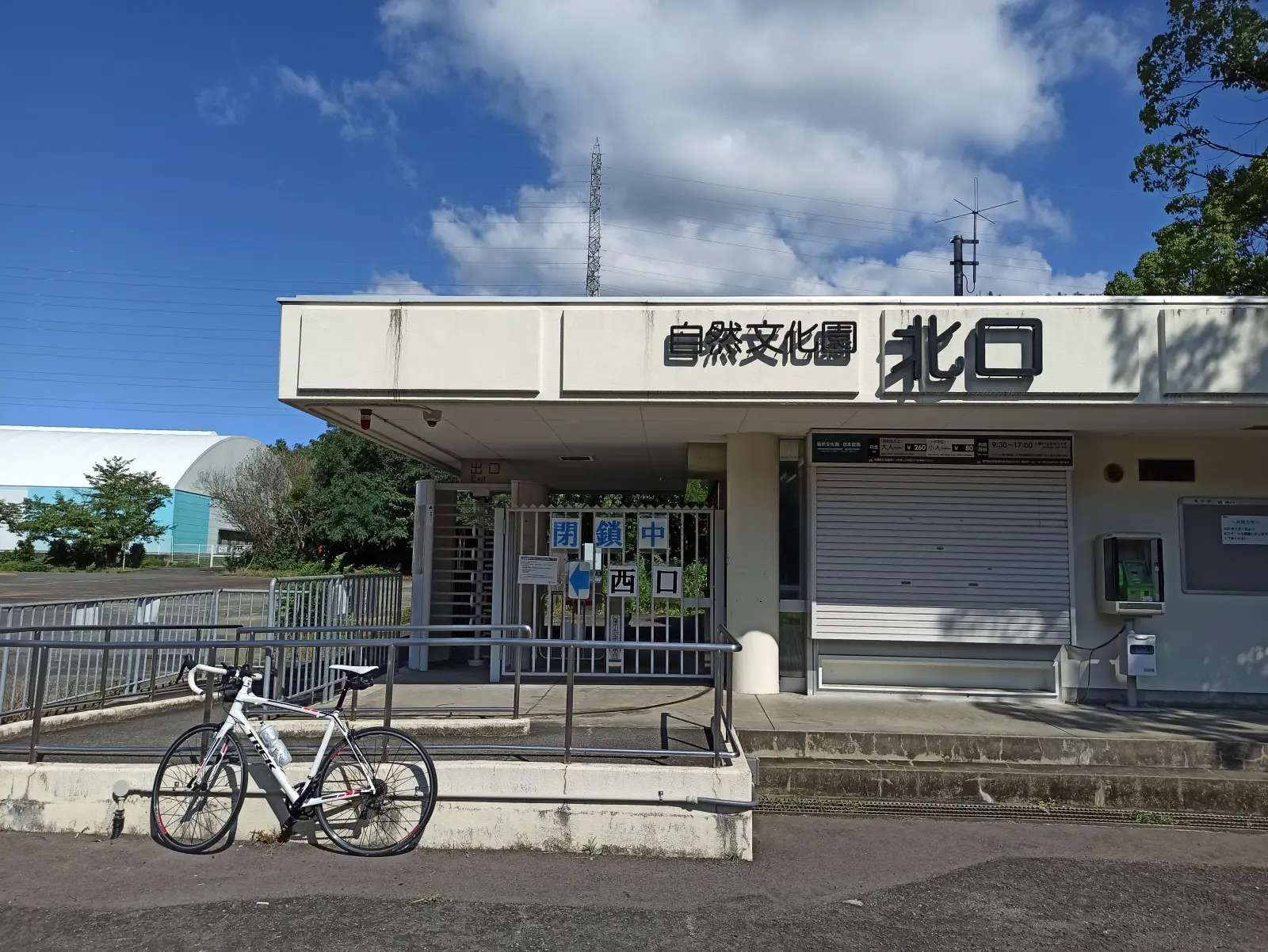 ゴール