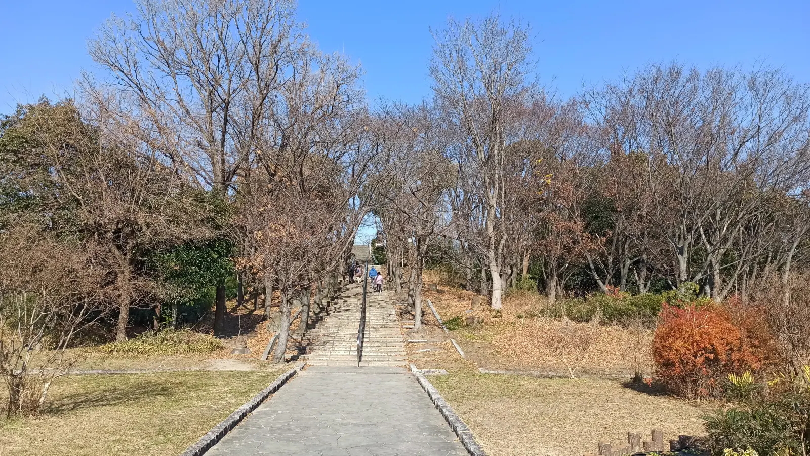 山頂への階段