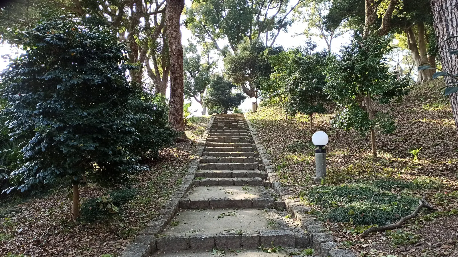 階段を登る