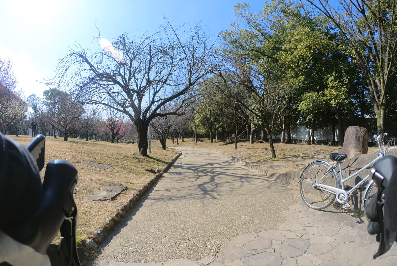 元茨木緑地