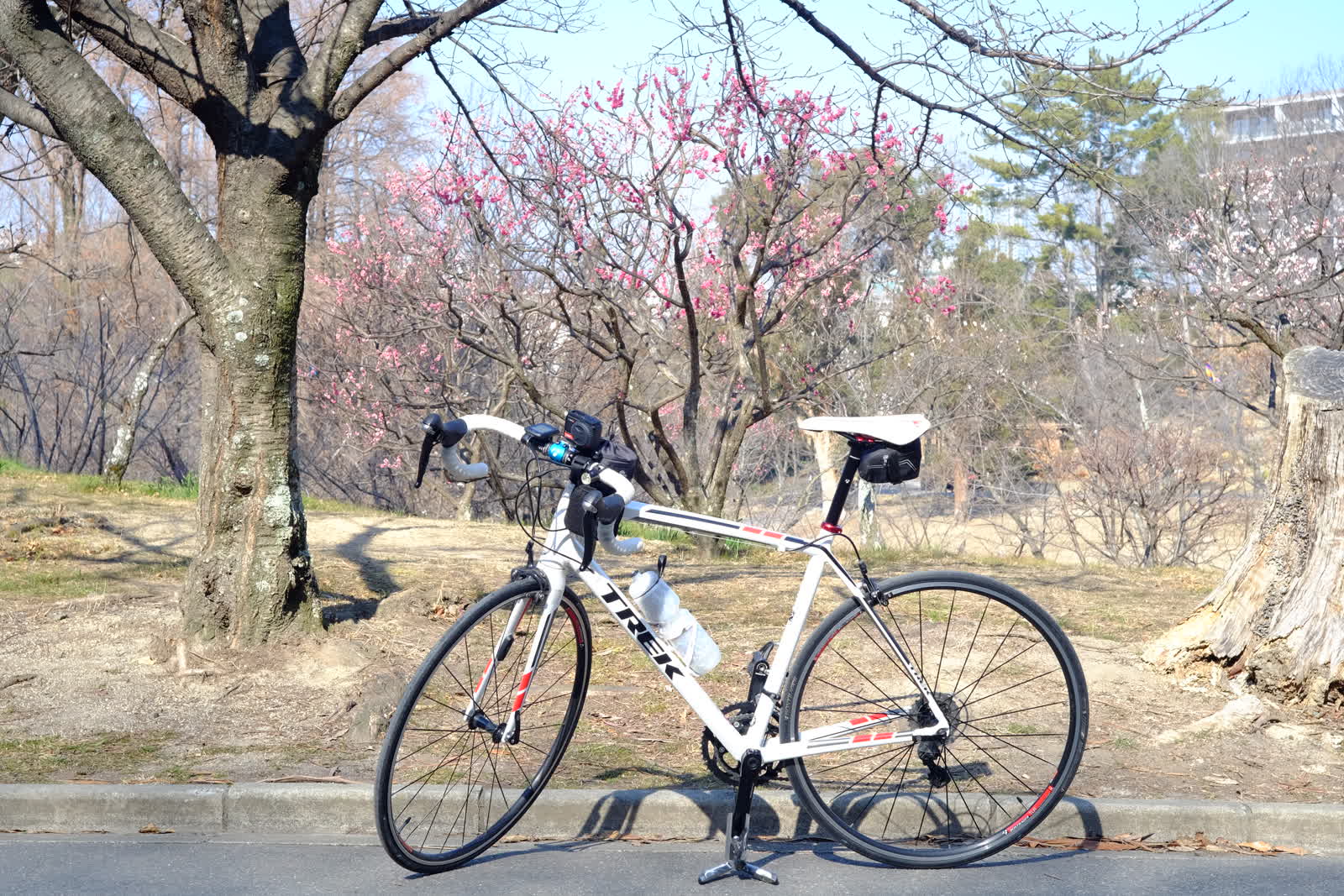 千里南公園