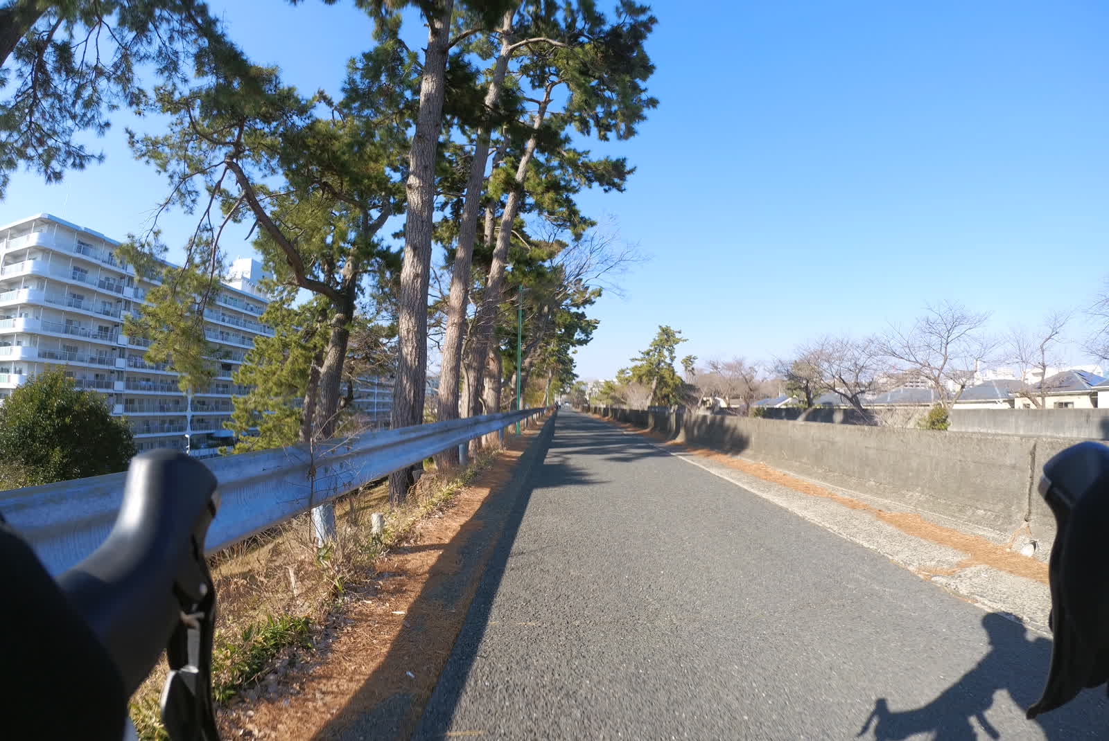 高川沿い