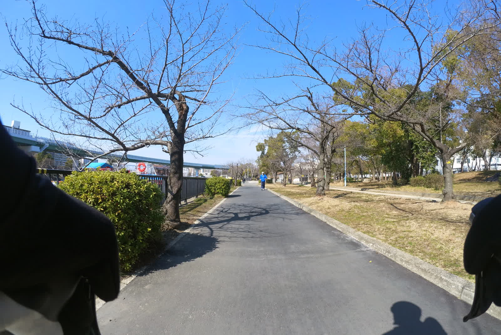 大川沿い